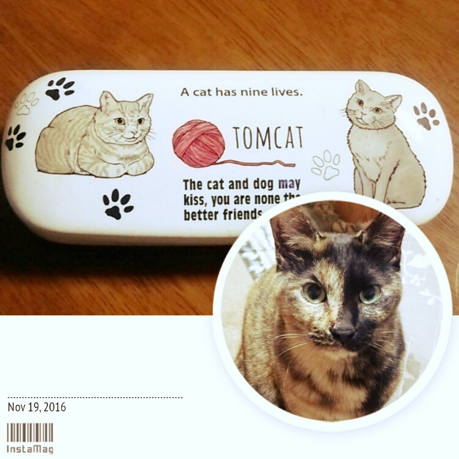 メガネケース　インテリア　収納ケース　ハンドメイド　デコパージュ ♪メガネケース 眼鏡ケース 鳥 とり柄 デコパージュ