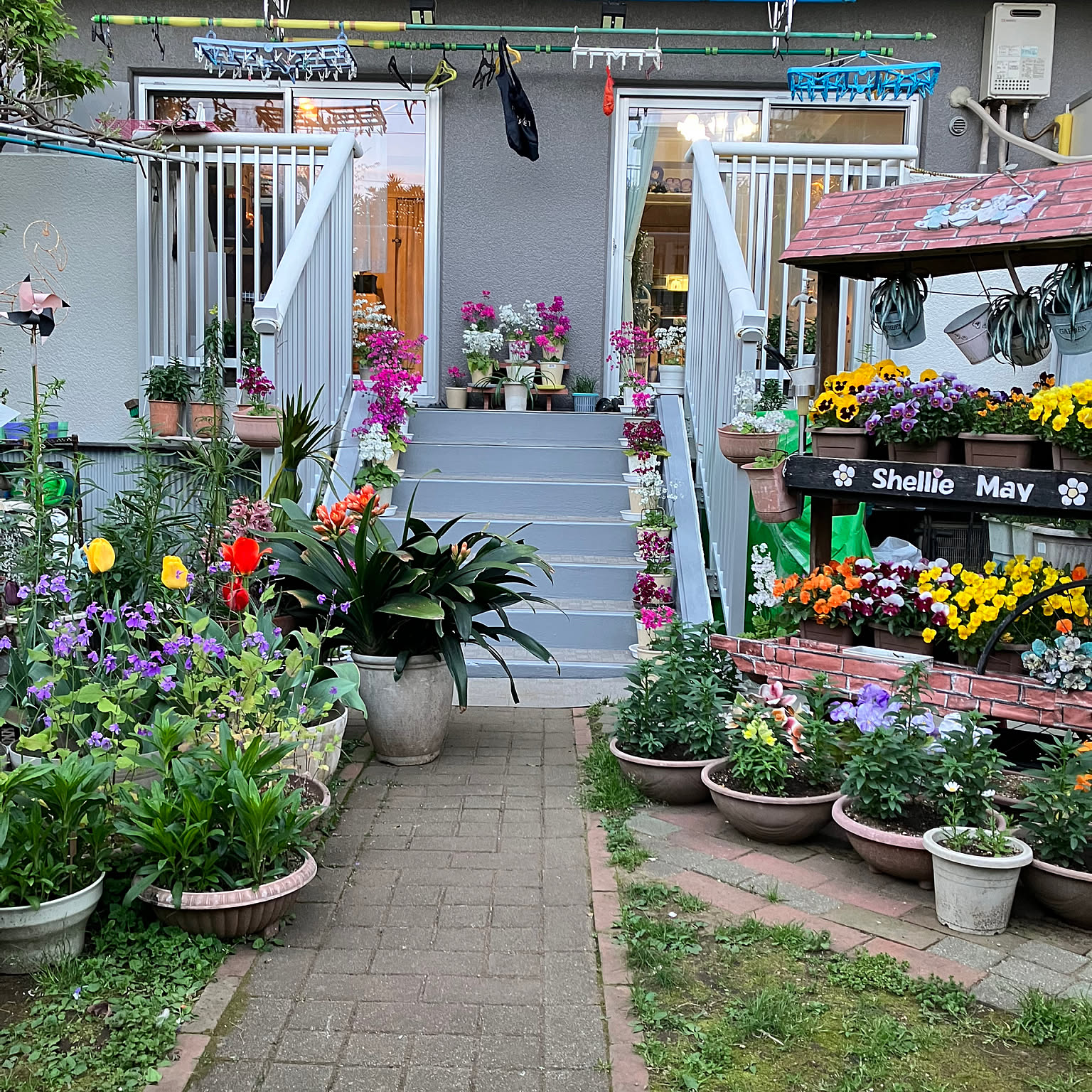 ガーデニング ディズニーシーのおすすめ商品とおしゃれな実例