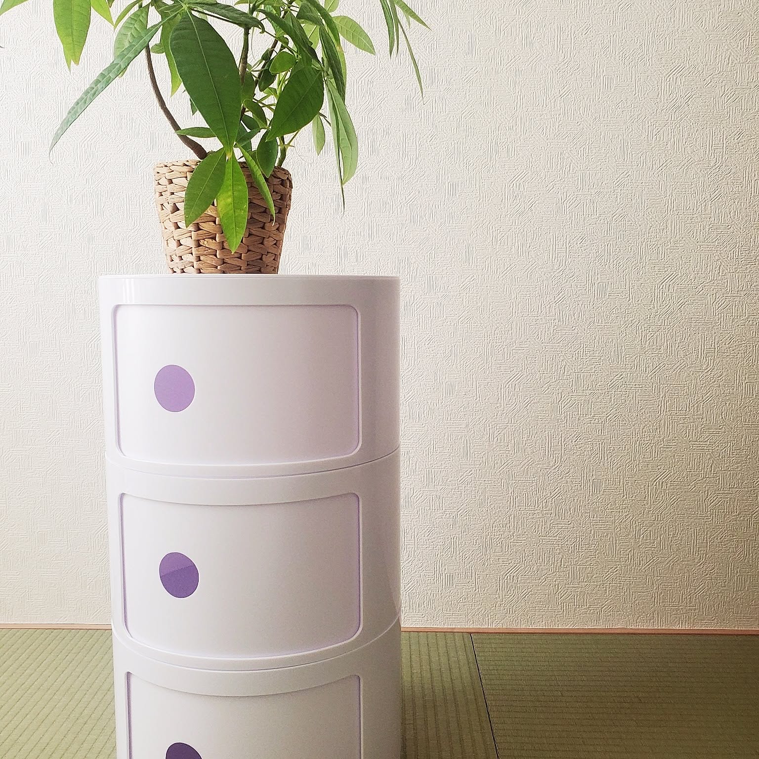 チェスト 和モダンのおすすめ商品とおしゃれな実例 ｜ RoomClip