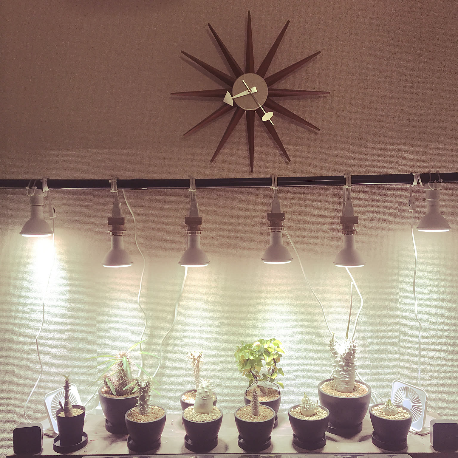 IKEA 植物育成ライトのおすすめ商品とおしゃれな実例 ｜ RoomClip