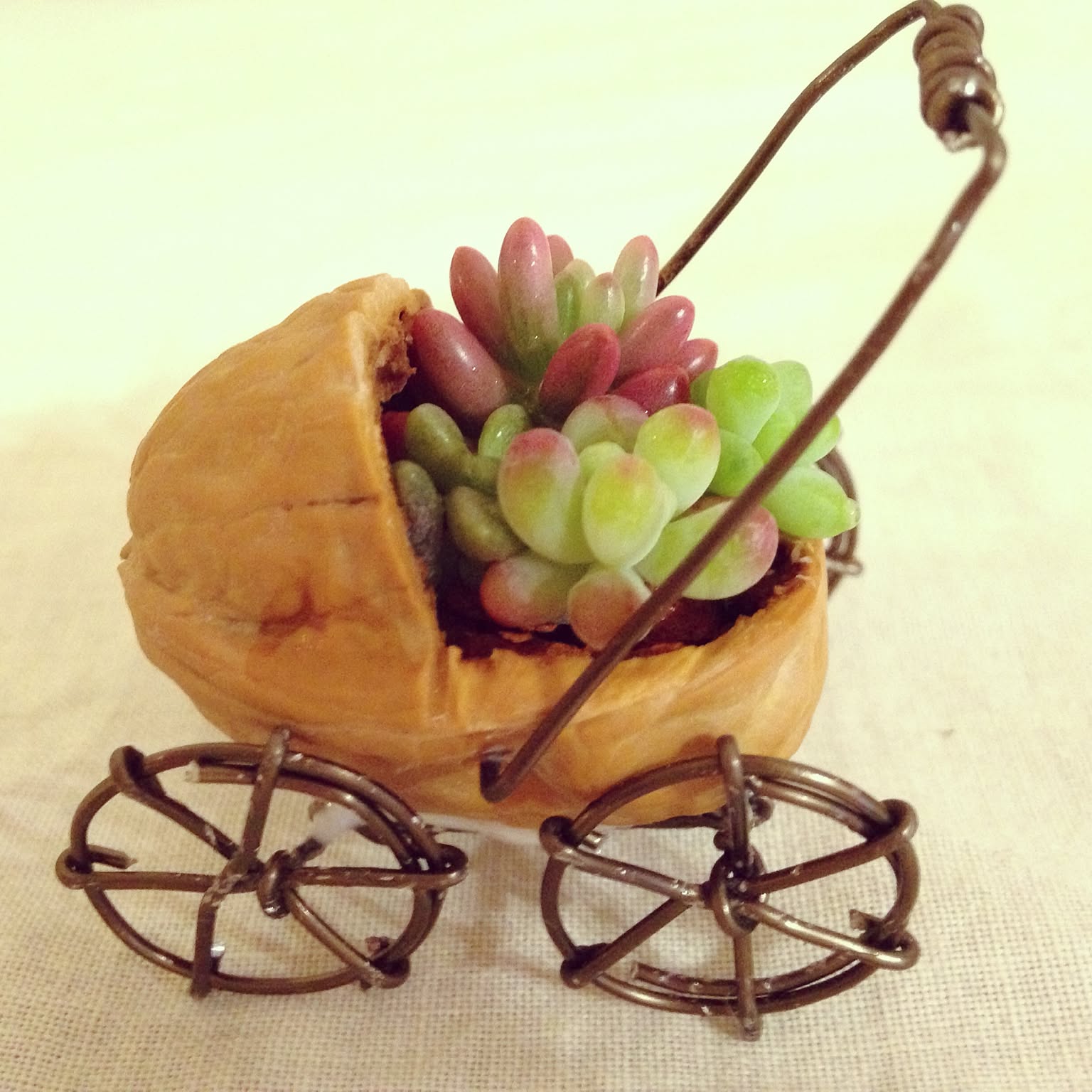 クルミの殻 飾り ハンドメイド クルミの殻 飾り ハンドメイド