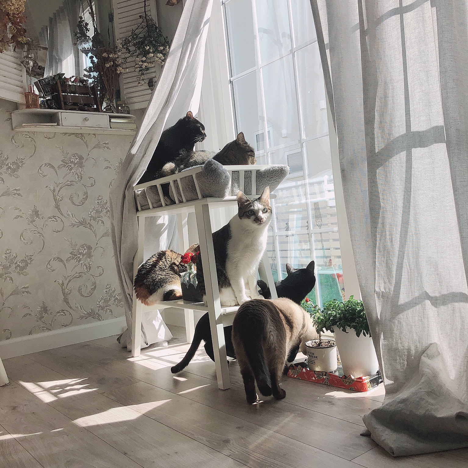 ✤シャビーシック　アイアン　パーテーション　インテリア装飾✤ シャビーシック アイアンパーテーションのおすすめ商品と