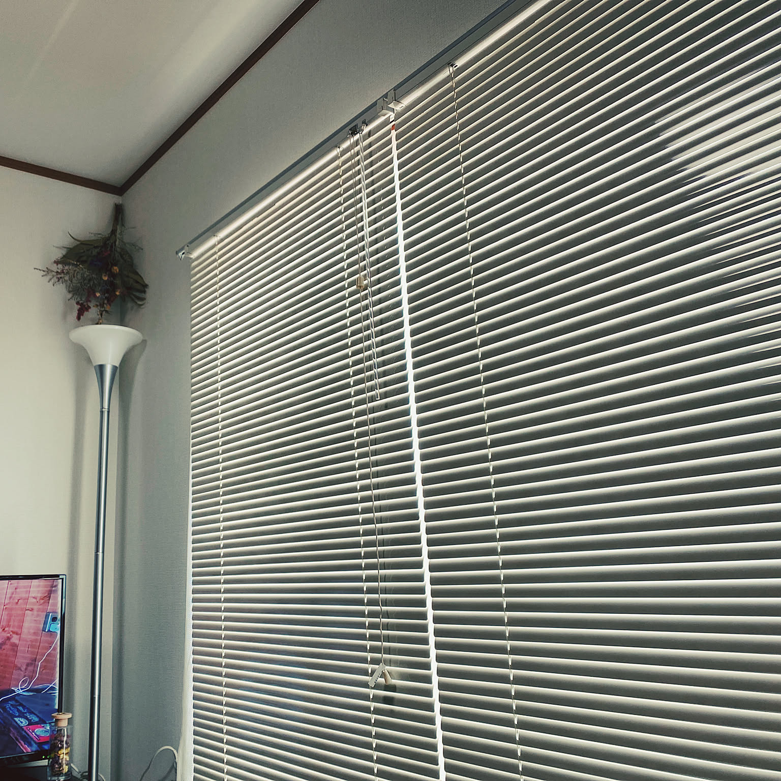 2adadc183dbb8641464464d6f6dd9f