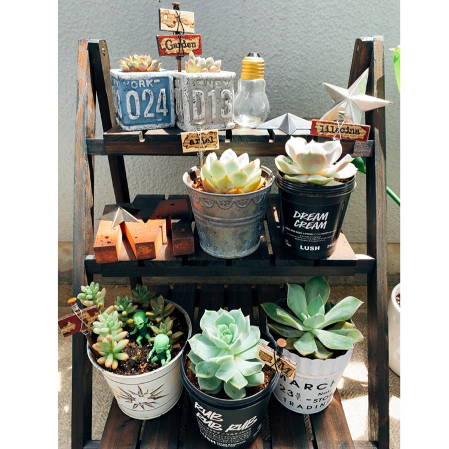 多肉/多肉棚/ベランダガーデン/多肉植物/ハンドメイド雑貨などの