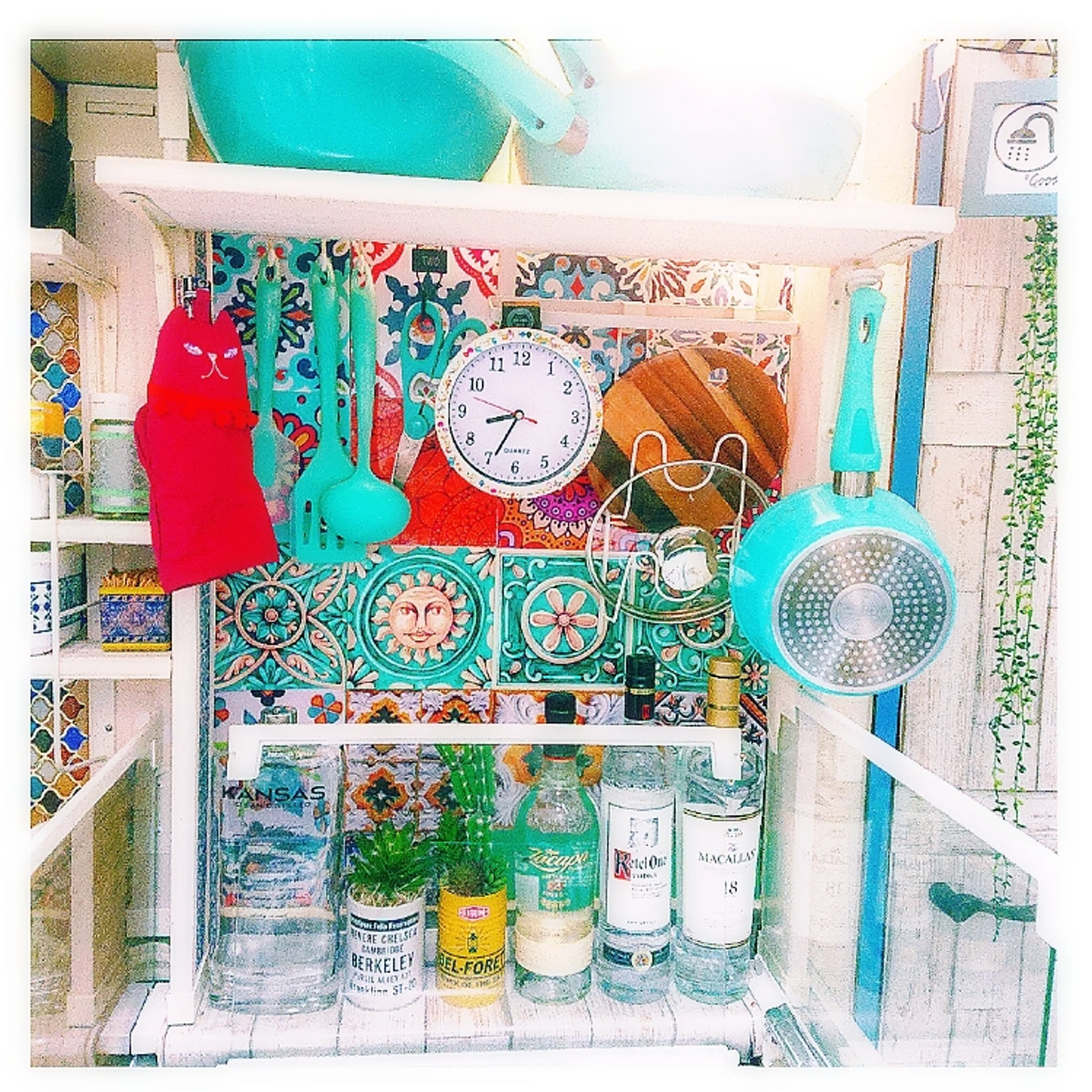 2b1647c56349dd0dc8784a020ead54