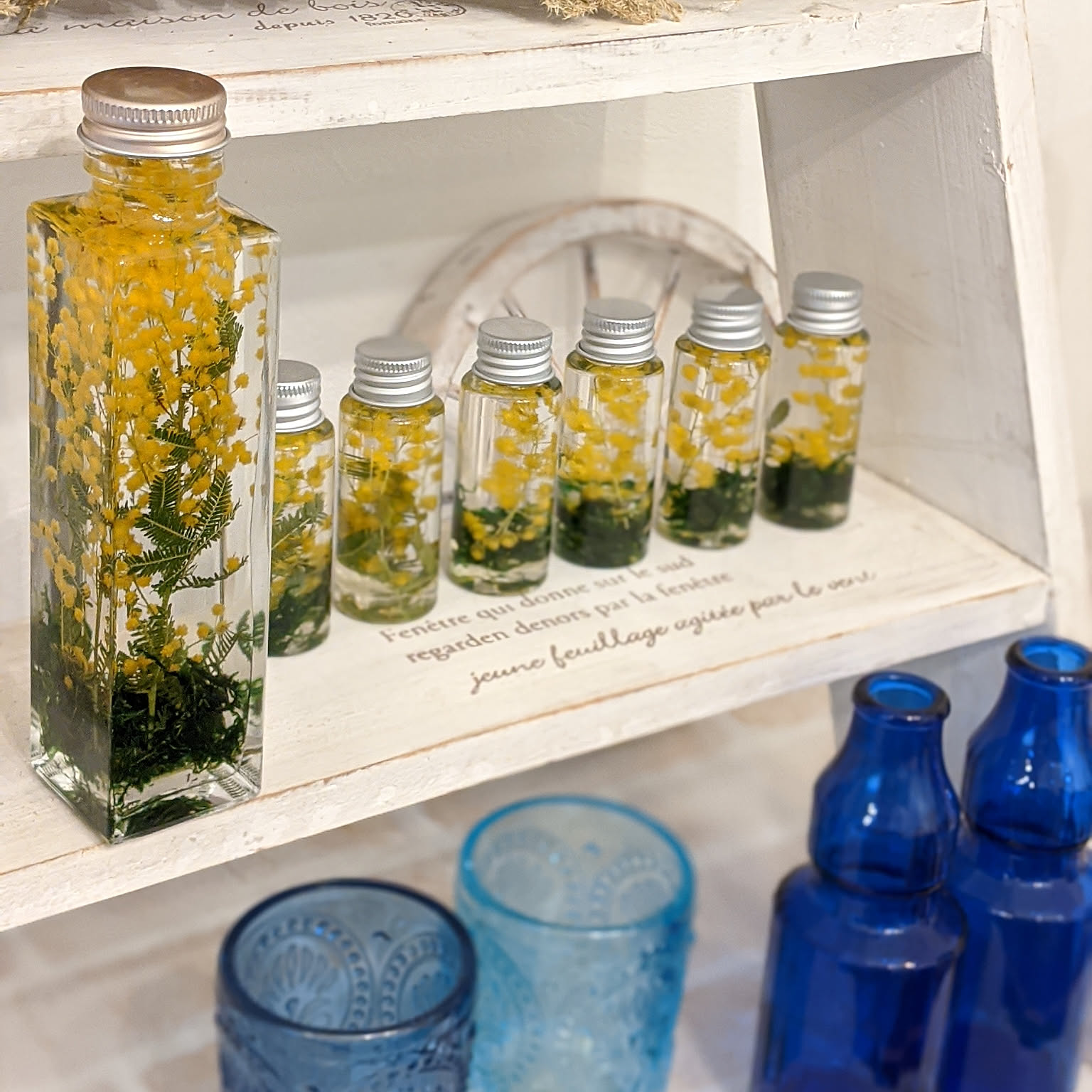 out ❁ミニスワッグ 標本フレーム&ミニハーバリュウムset❁