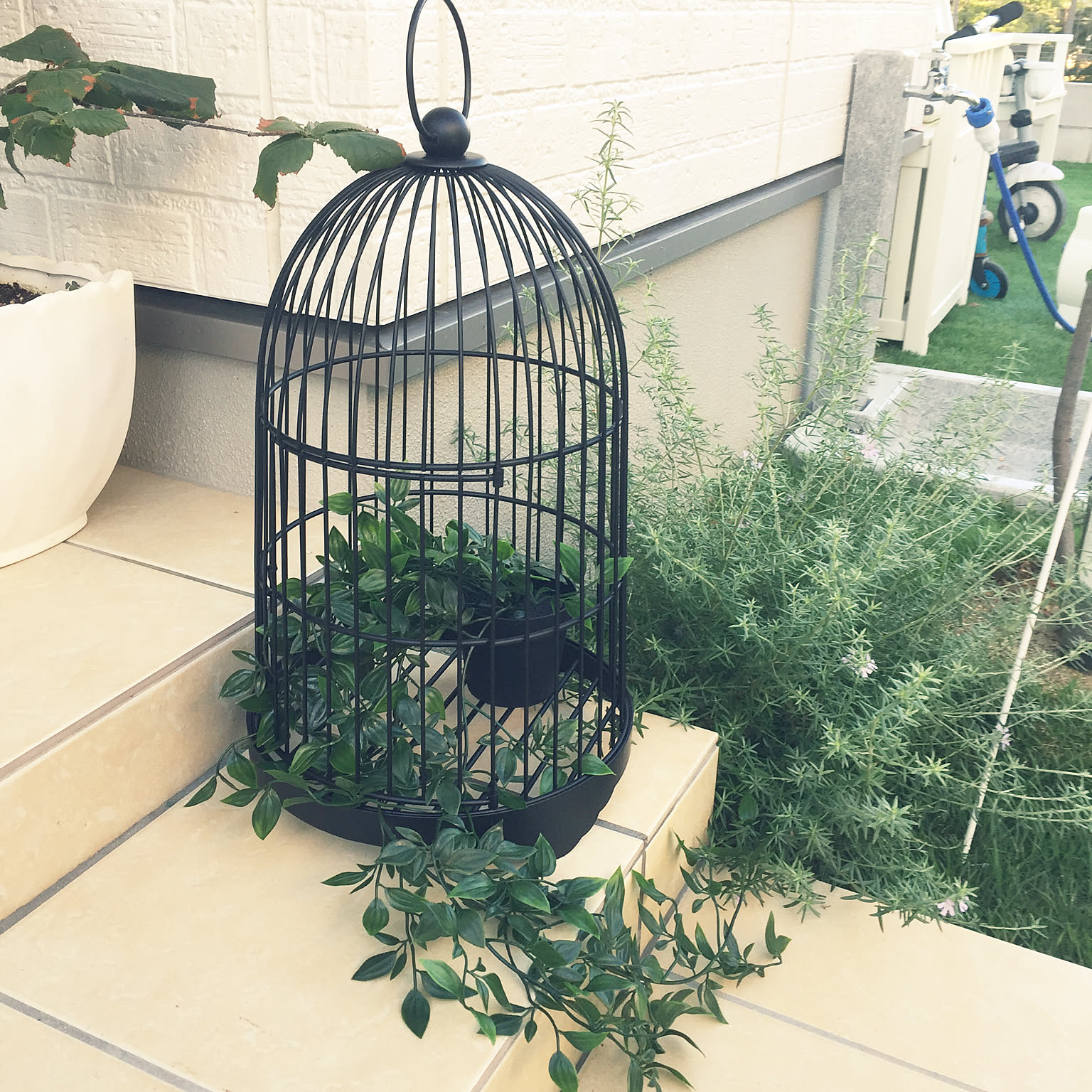 専用バードケージアレンジ フェイクグリーン 【公式通販】