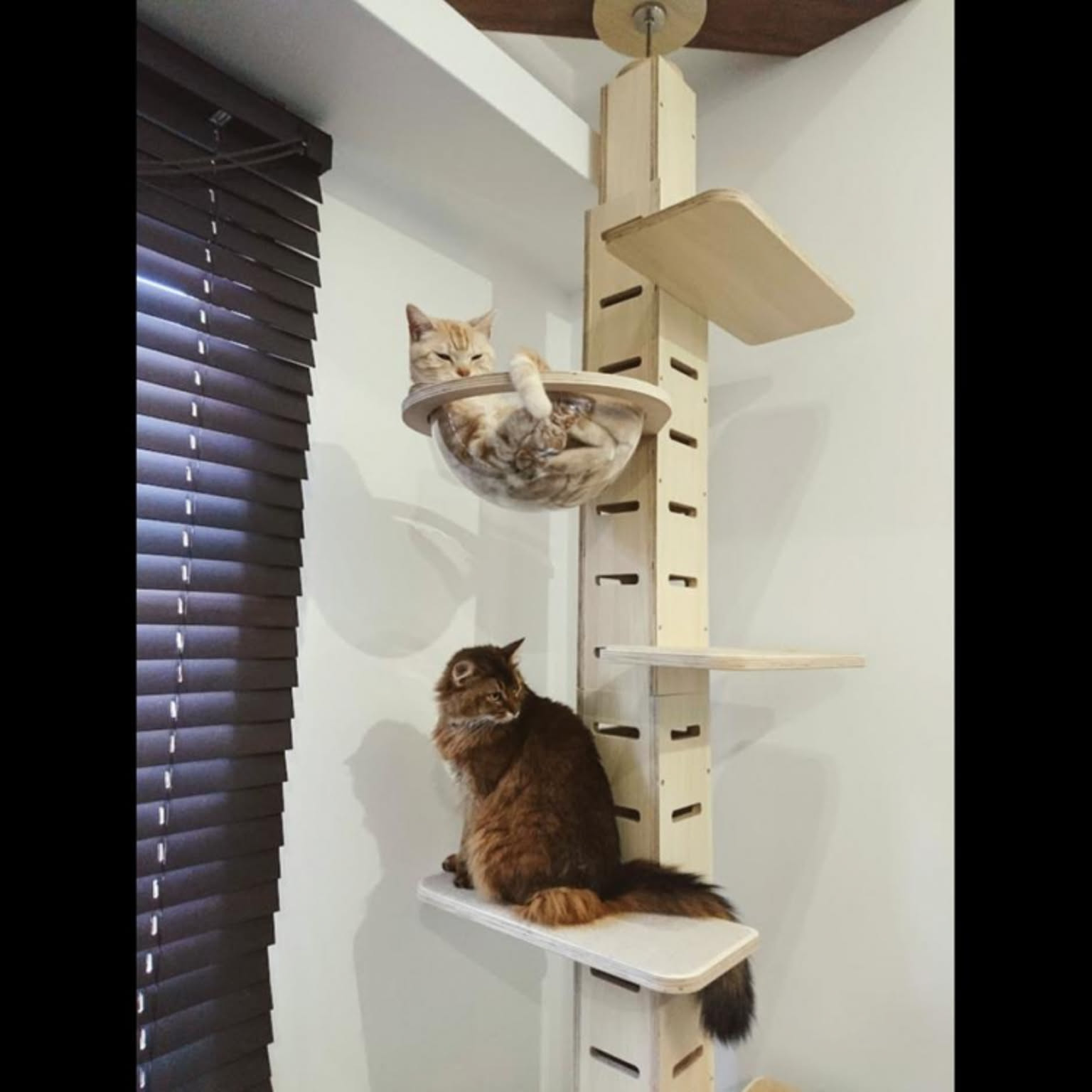 2c0b54d8b7c3f8a40c05b34afad109