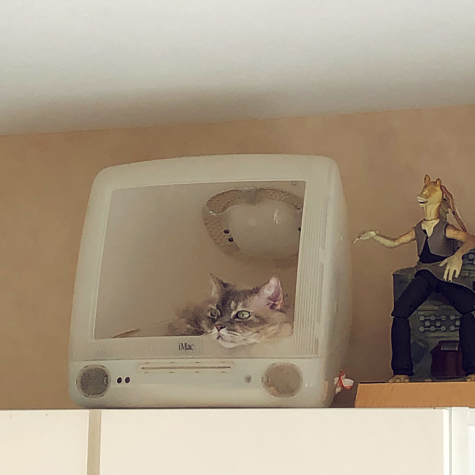 iMac猫ベッド/再利用/ねこインテリア/ねこが好き/モルモル壁などの