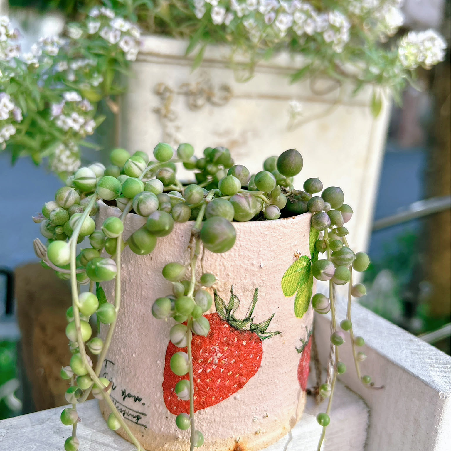 デコパージュ リメイク鉢のおすすめ商品とおしゃれな実例 ｜ RoomClip