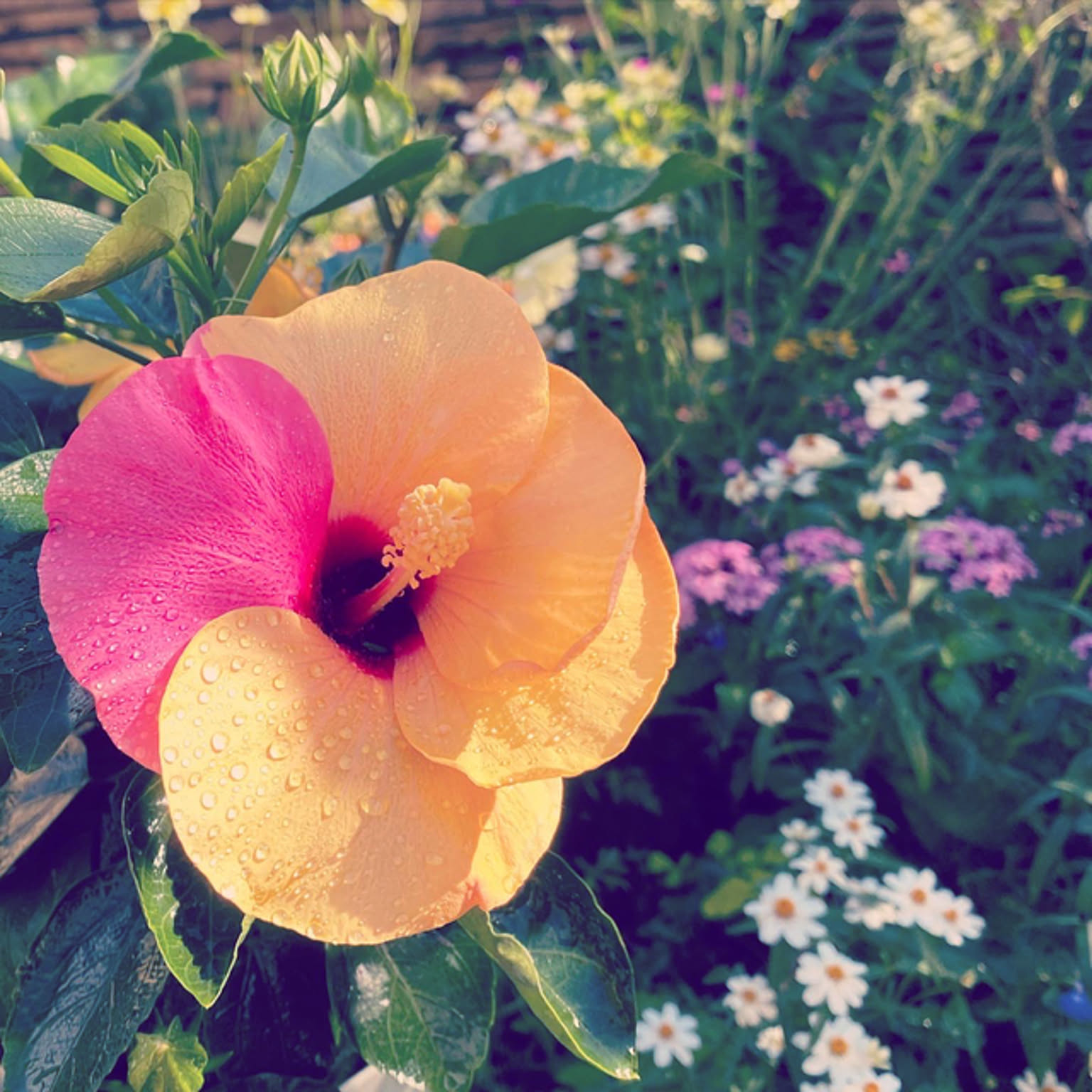 2d2dffe577ad559c13c75590d24167