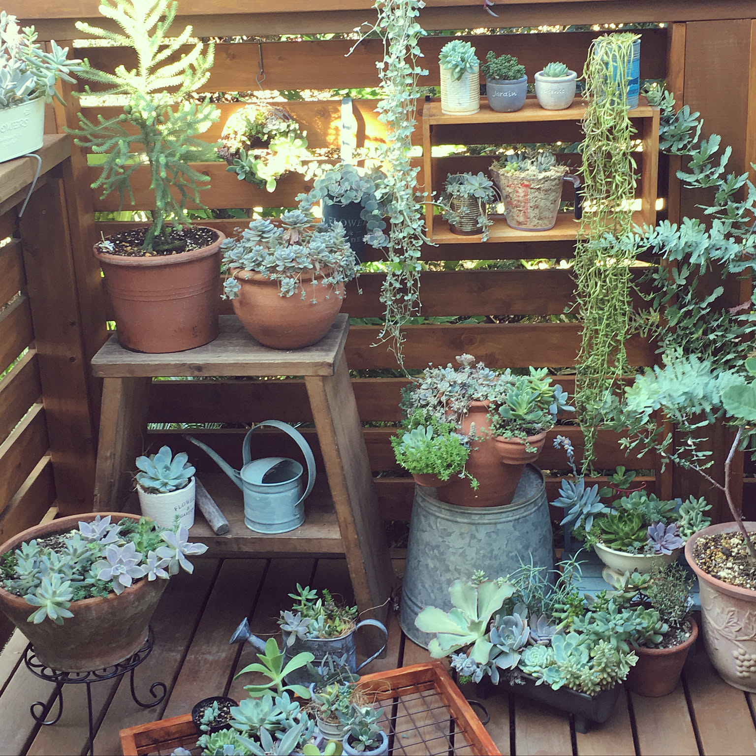 テラコッタ ストロベリーポット used（欠け・色ムラ有り） 素焼き