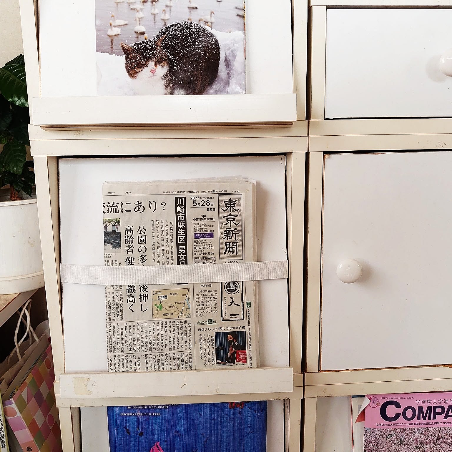 Amazon｜新聞ストッカー ニューズラック 新聞ラック 新聞紙