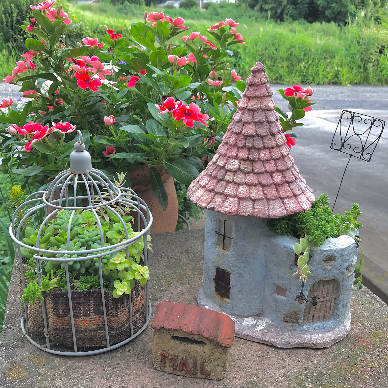 多肉植物も植えれる　モルタルハウス　リッカー モルタルハウス 鉢カバー リラックスバスルーム
