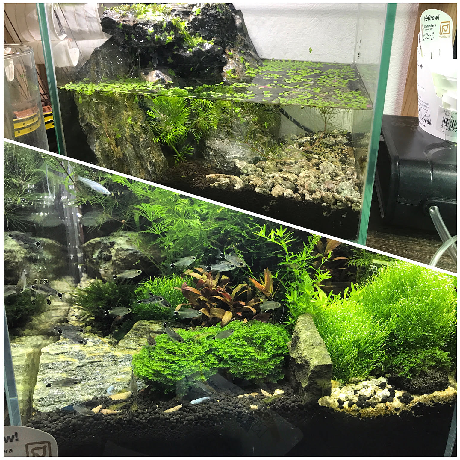 2fb4d566b7ee28950eee00685e7d92