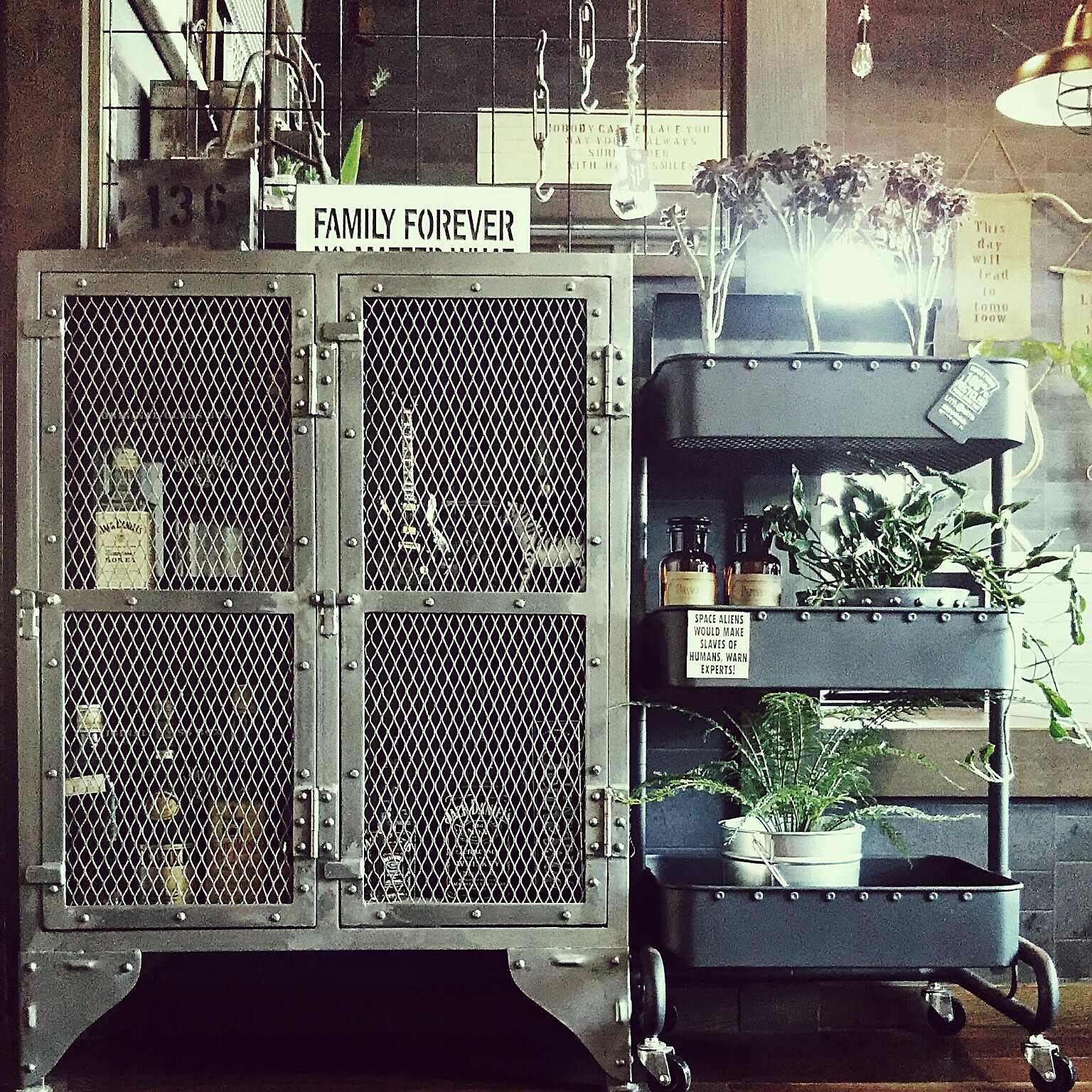 ジャーナルスタンダードファニチャー メッシュロッカーの商品を