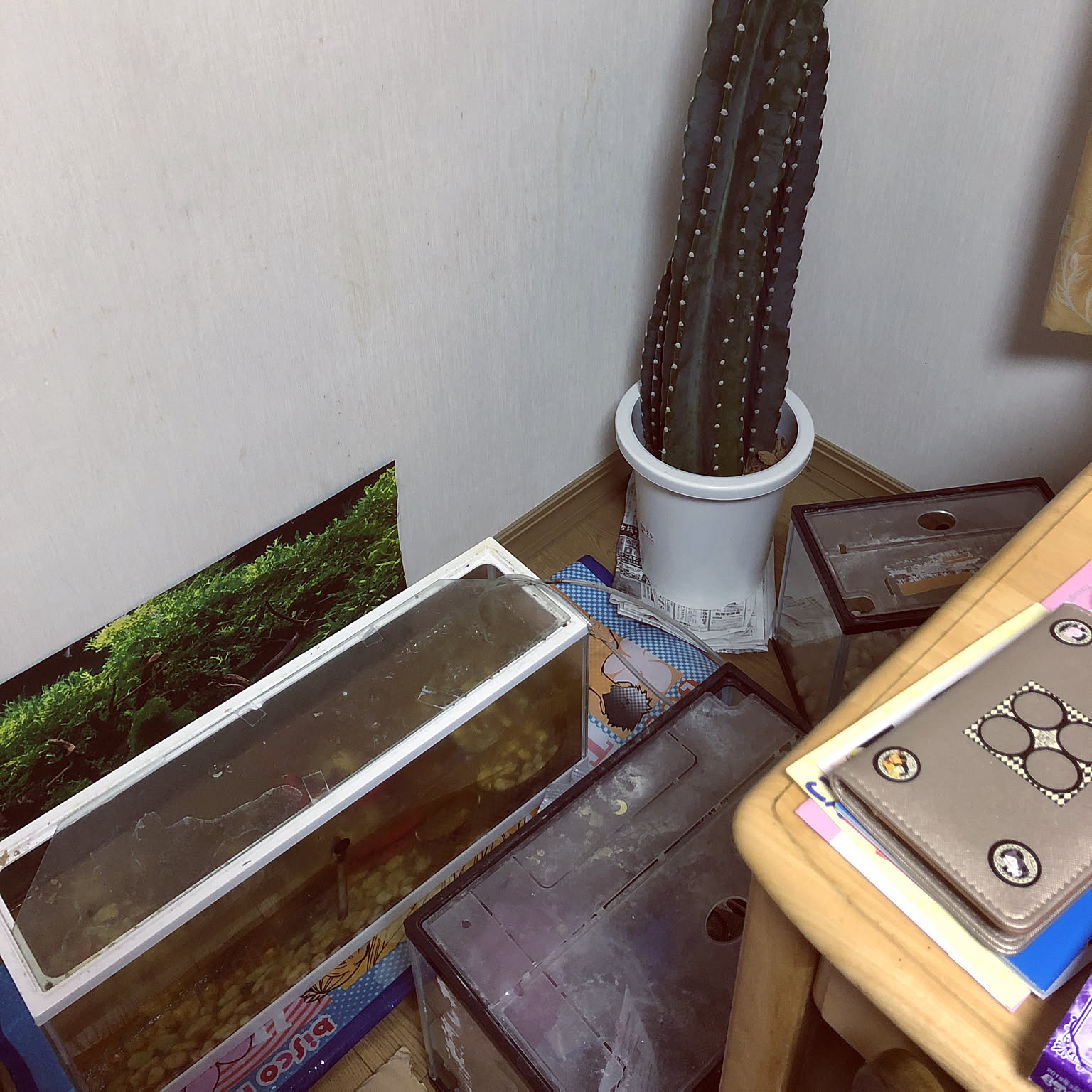 ❤︎訳ありsale‬❤︎インテリア♡リメ鉢♡小物入れ♡スズラン♡金魚鉢♡ガーデン ❤︎訳ありsale❤︎インテリア♡リメ鉢♡小物入れ♡スズラン♡