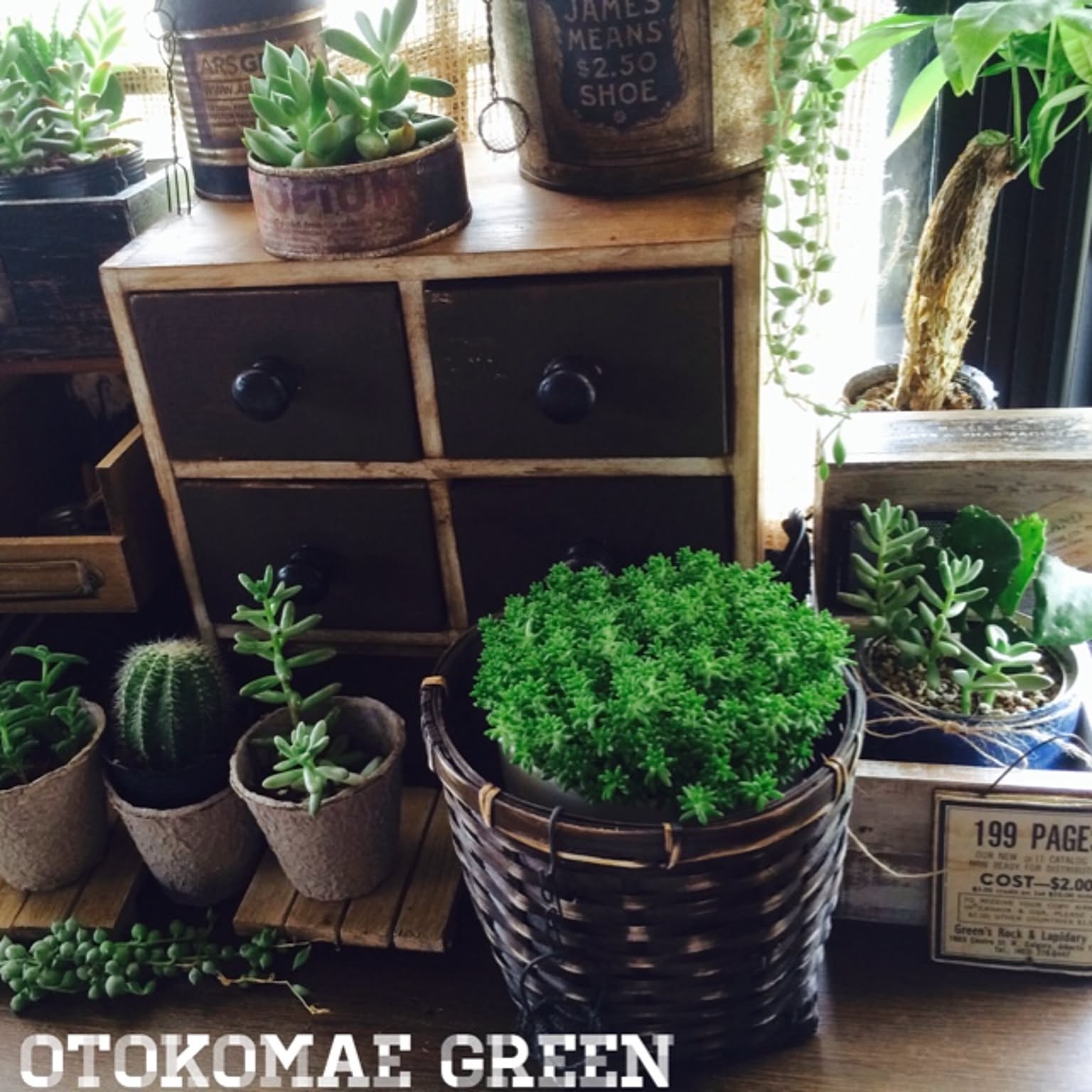 男前インテリア　植物育成棚　多肉植物　ラック　棚　耐水性あり　1126 男前インテリア 植物育成棚 多肉植物 ラック 棚 耐水性あり 915