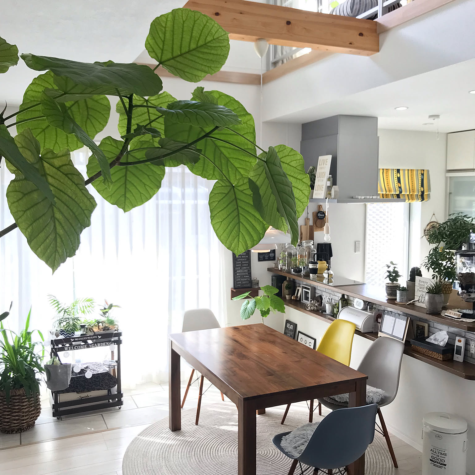 グリーンの椅子のおすすめ商品とおしゃれな実例 ｜ RoomClip（ルーム