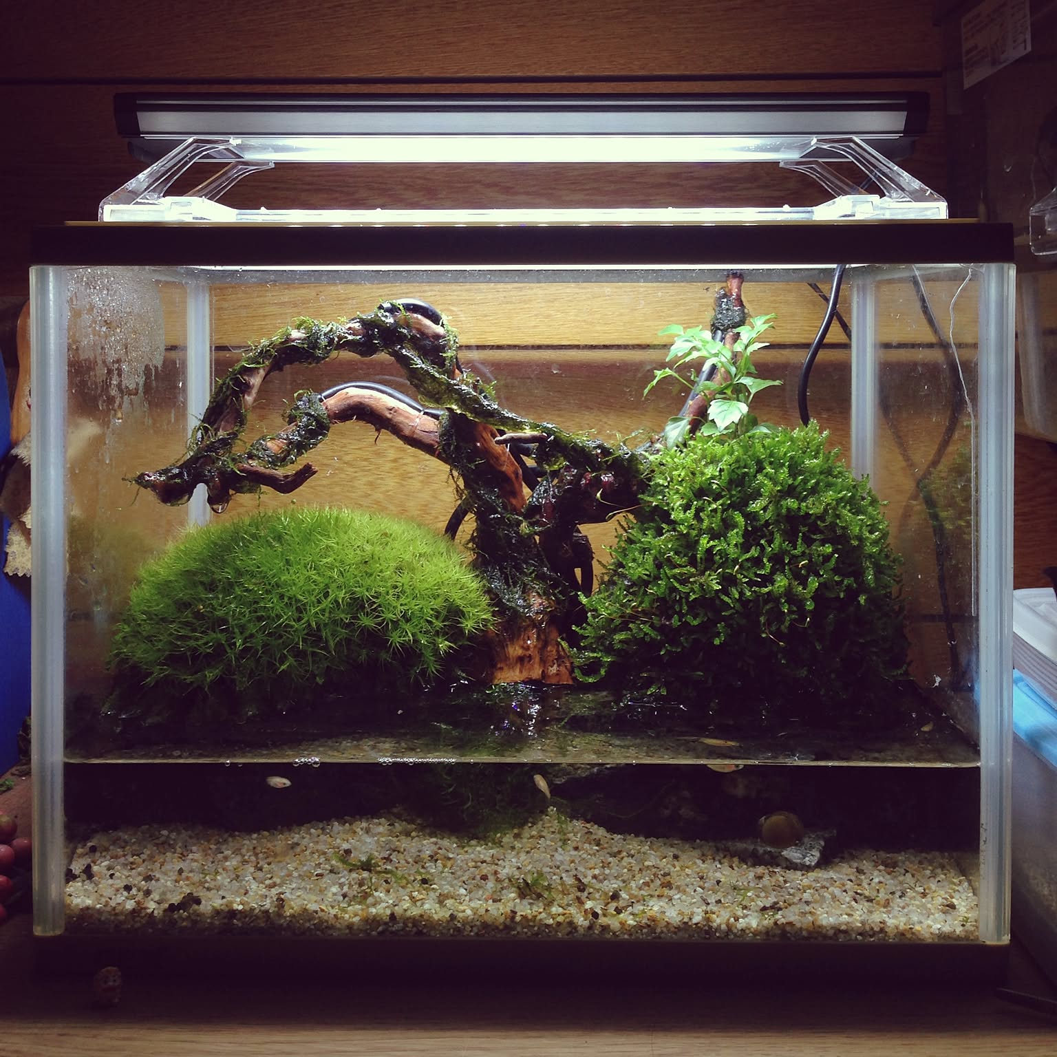 340d46535aa41220fe3aba673d1481