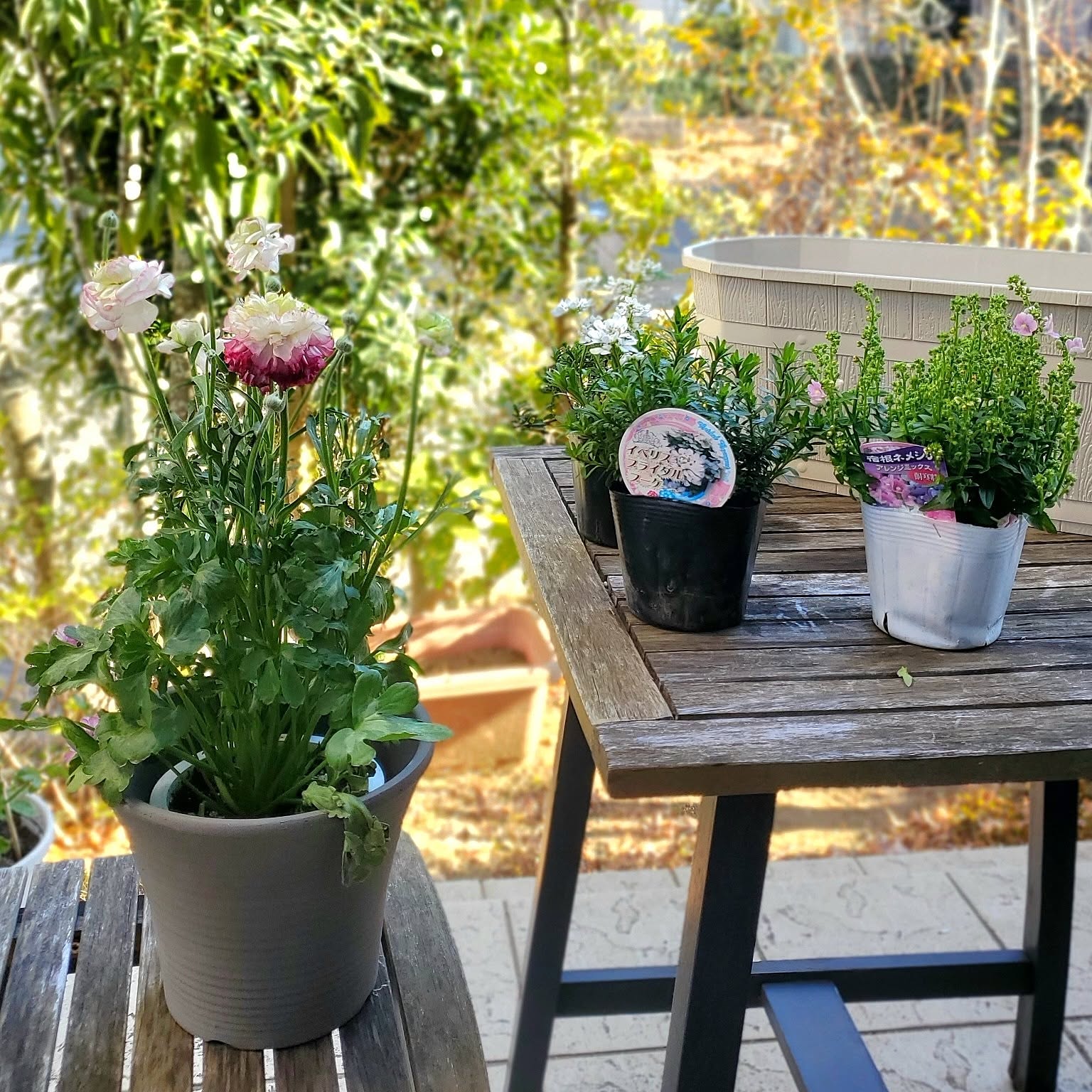 34258ba1c5e41ee2bfb7975d96e902