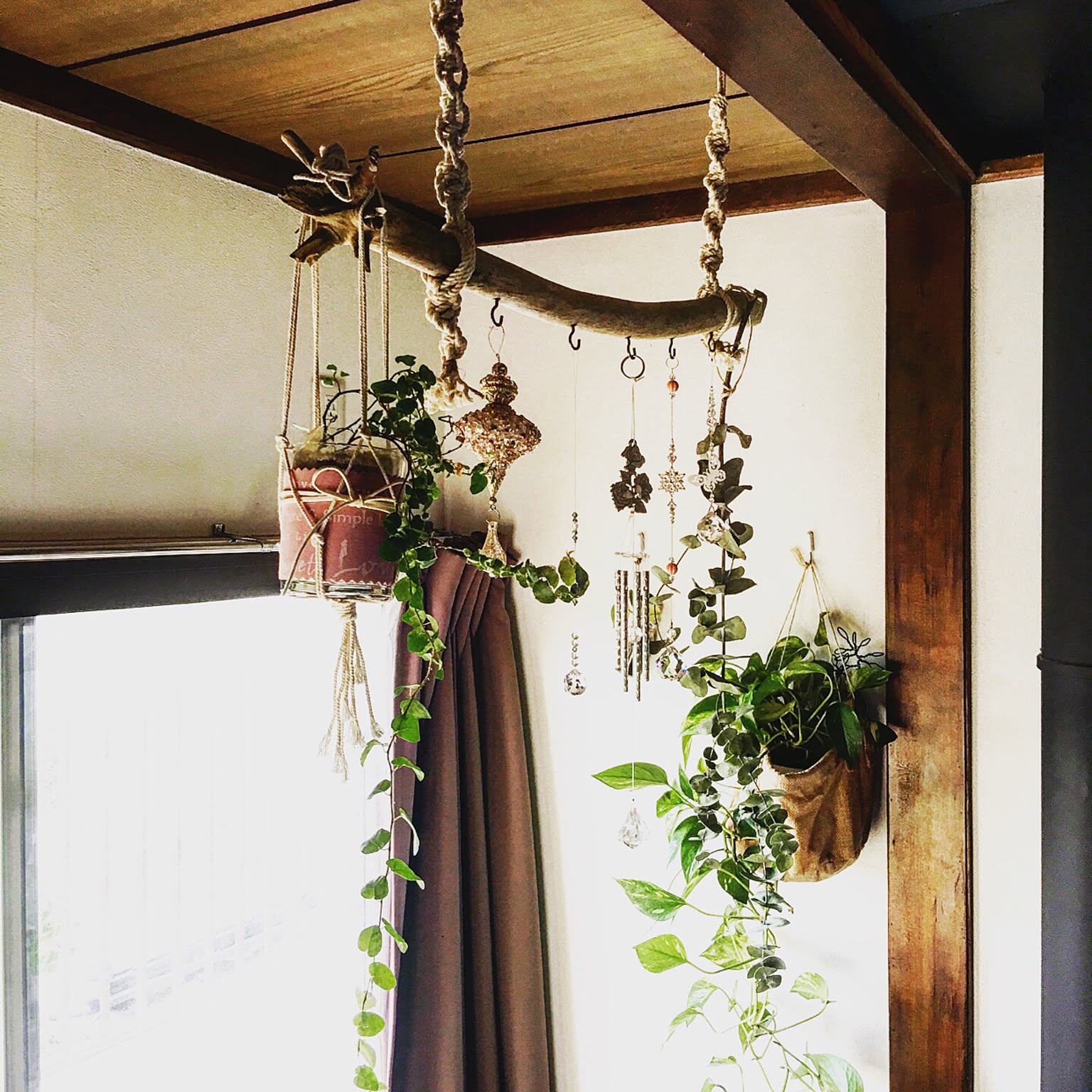 壁/天井/流木/流木インテリア/サンキャッチャーの光/グリーンのある