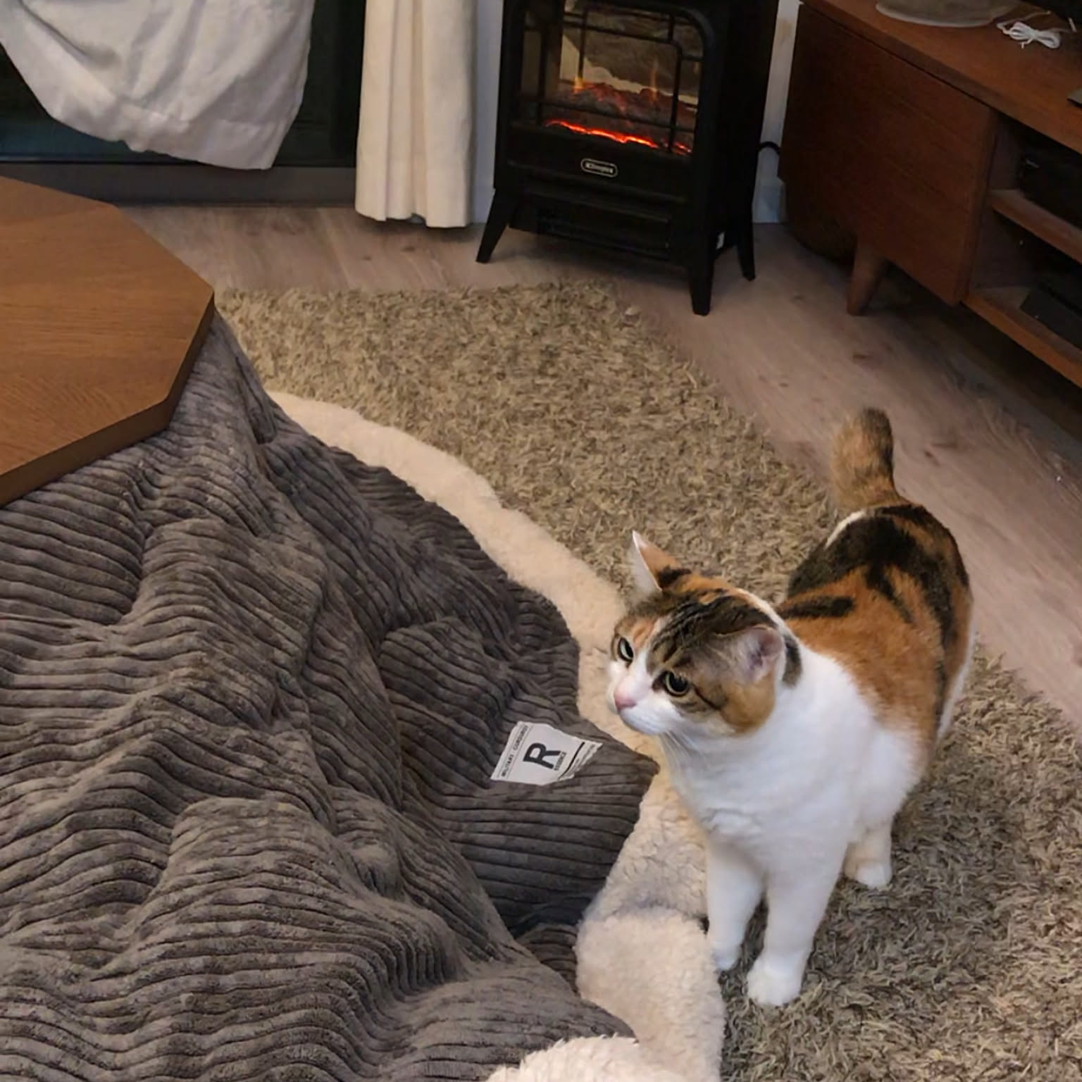 猫用 M こたつ 極美品 なごみ 猫用 M こたつ 極美品 なごみ