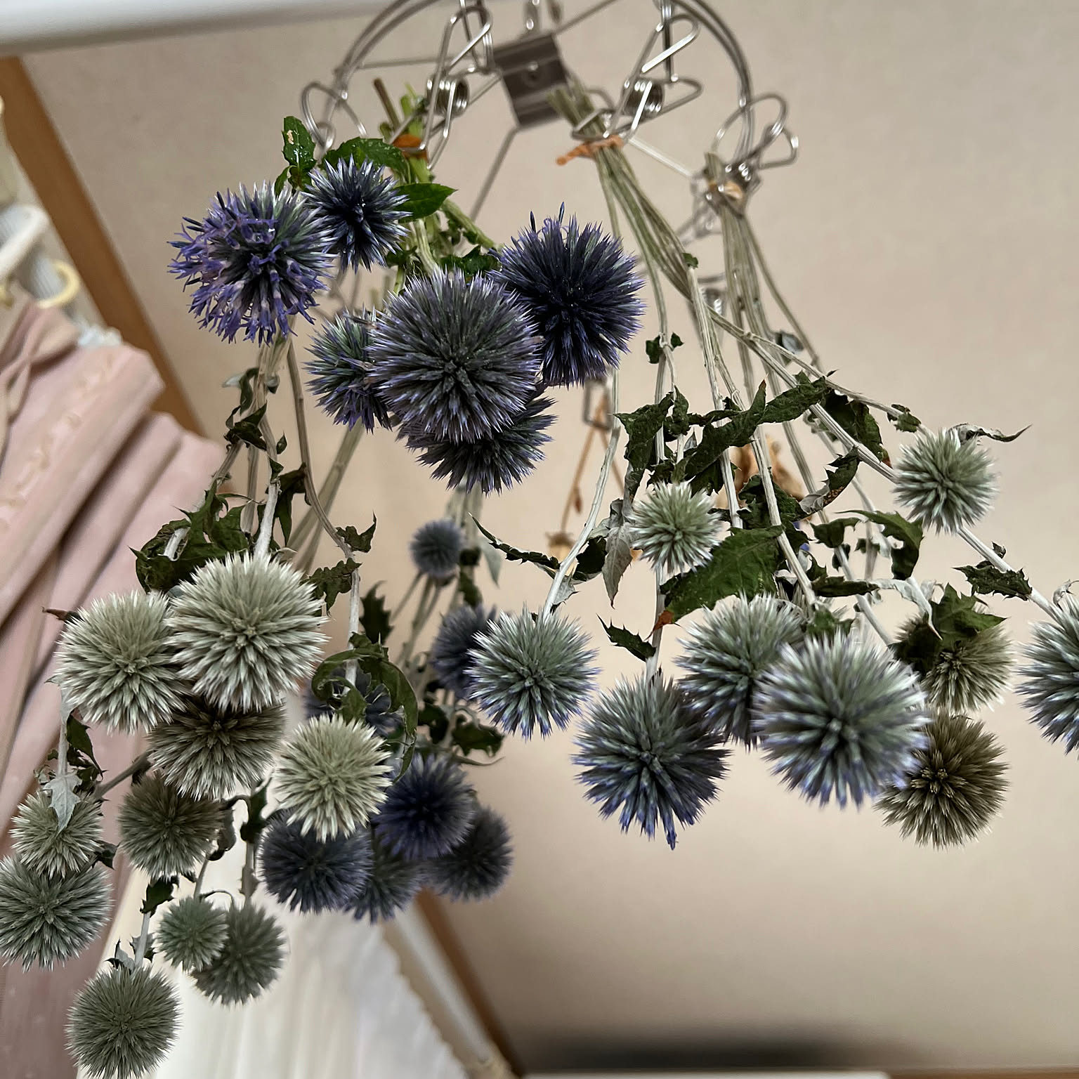 ドライフラワー ルリタマアザミのおすすめ商品とおしゃれな実例