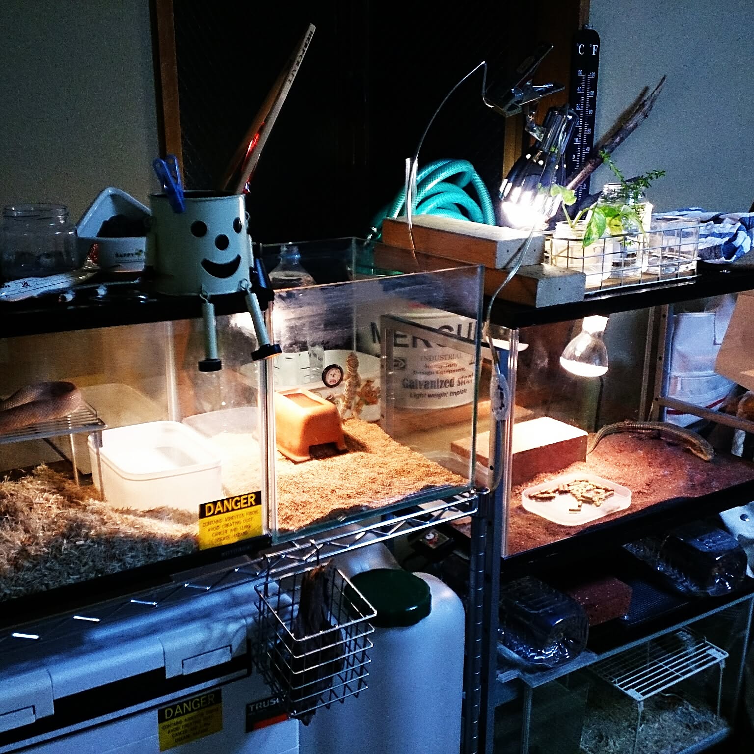 爬虫類棚のインテリア実例 ｜ RoomClip（ルームクリップ）