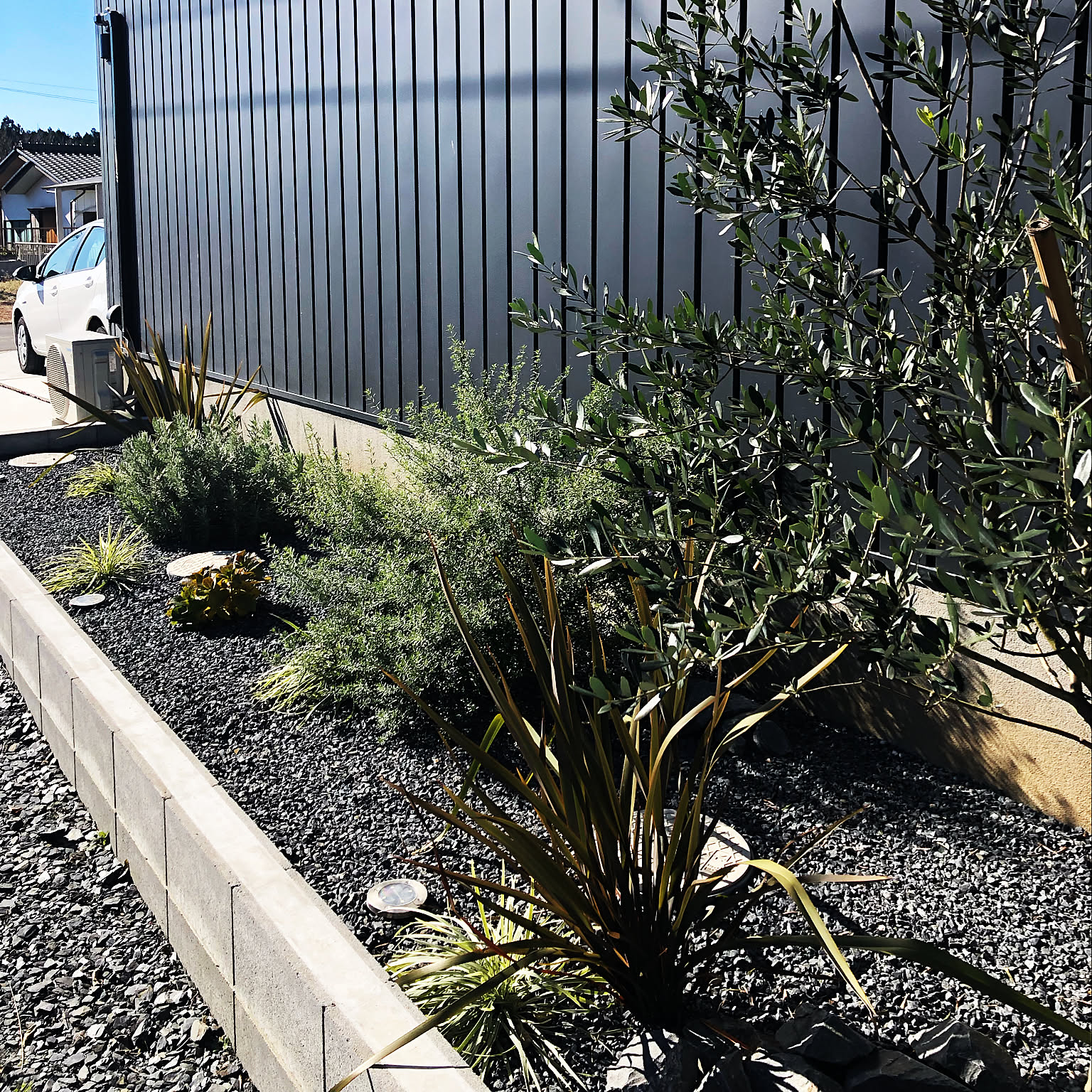 オリーブ ドライガーデンのおしゃれなアレンジ・飾り方のインテリア