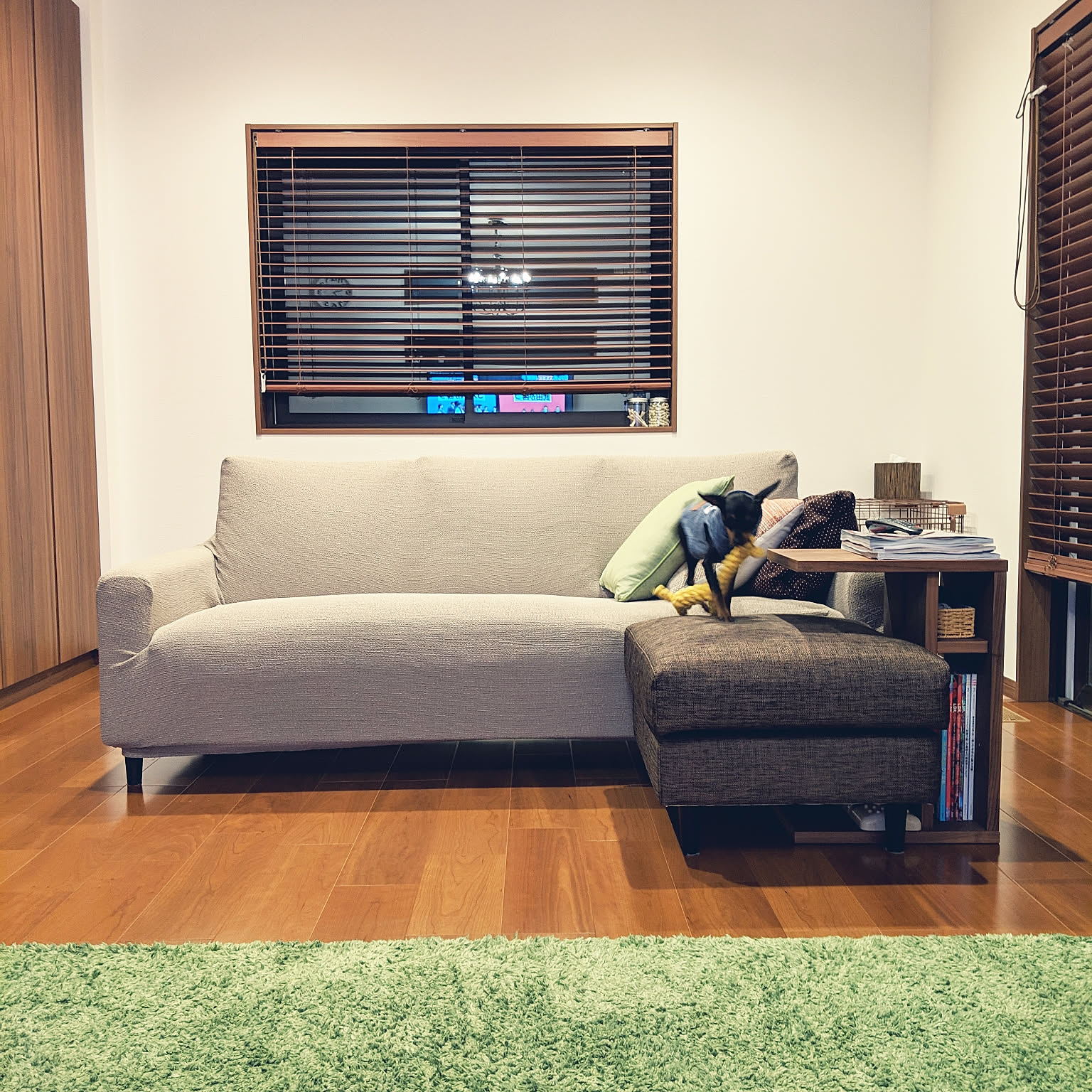 ソファ モカのおすすめ商品とおしゃれな実例 ｜ RoomClip（ルーム 