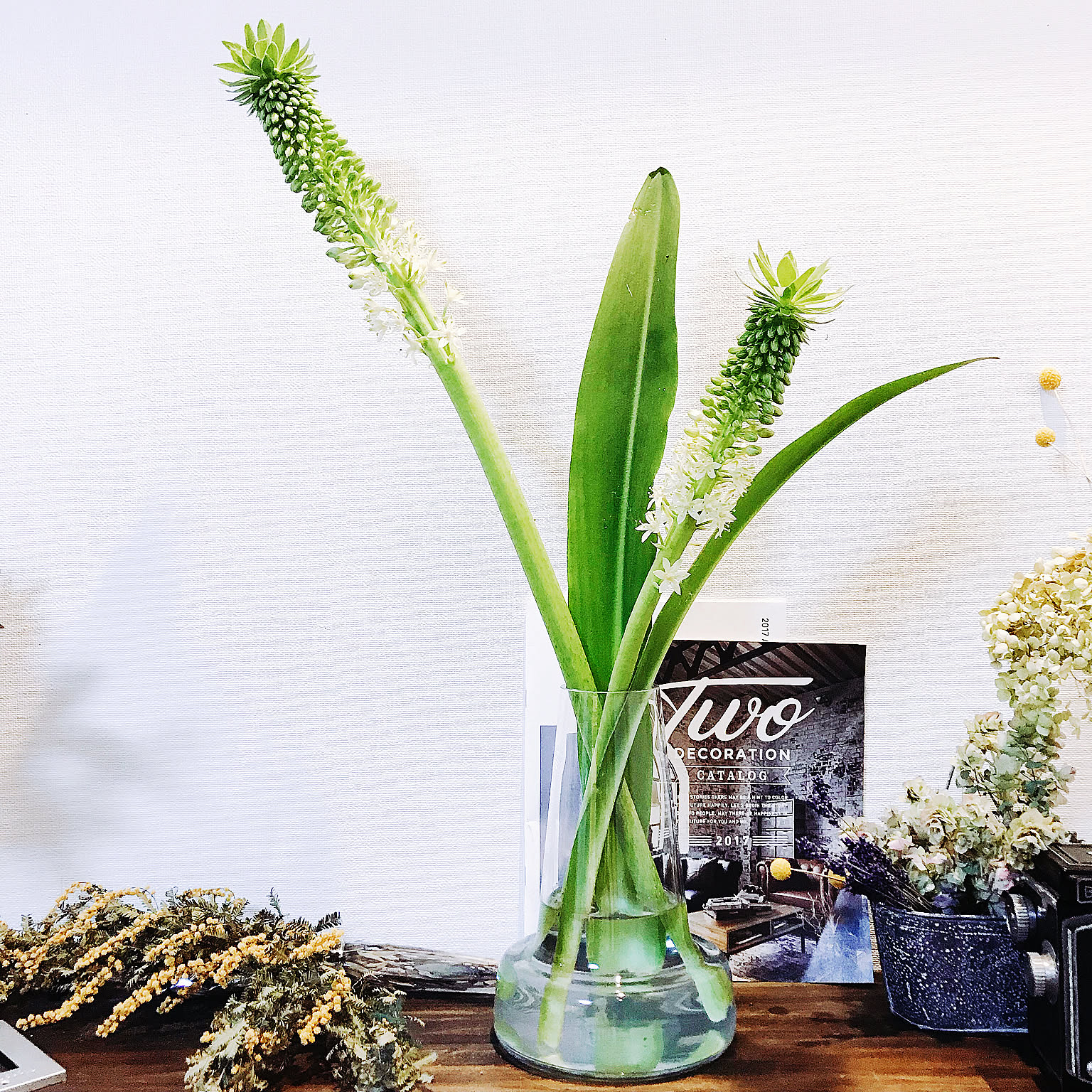 36ab53abc284779c42dd8230d4c81e