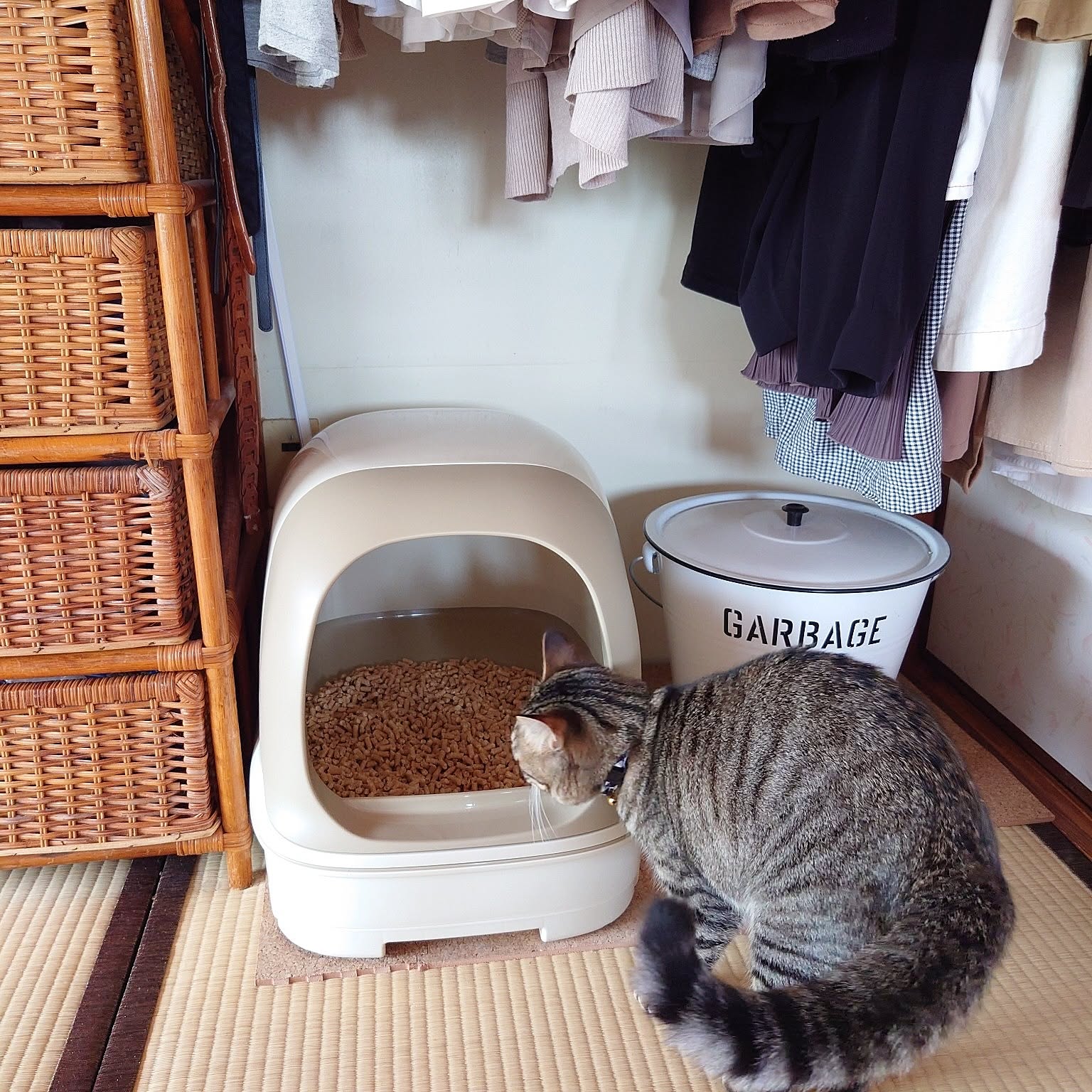 クローゼット 猫トイレのおすすめ商品とおしゃれな実例 ｜ RoomClip
