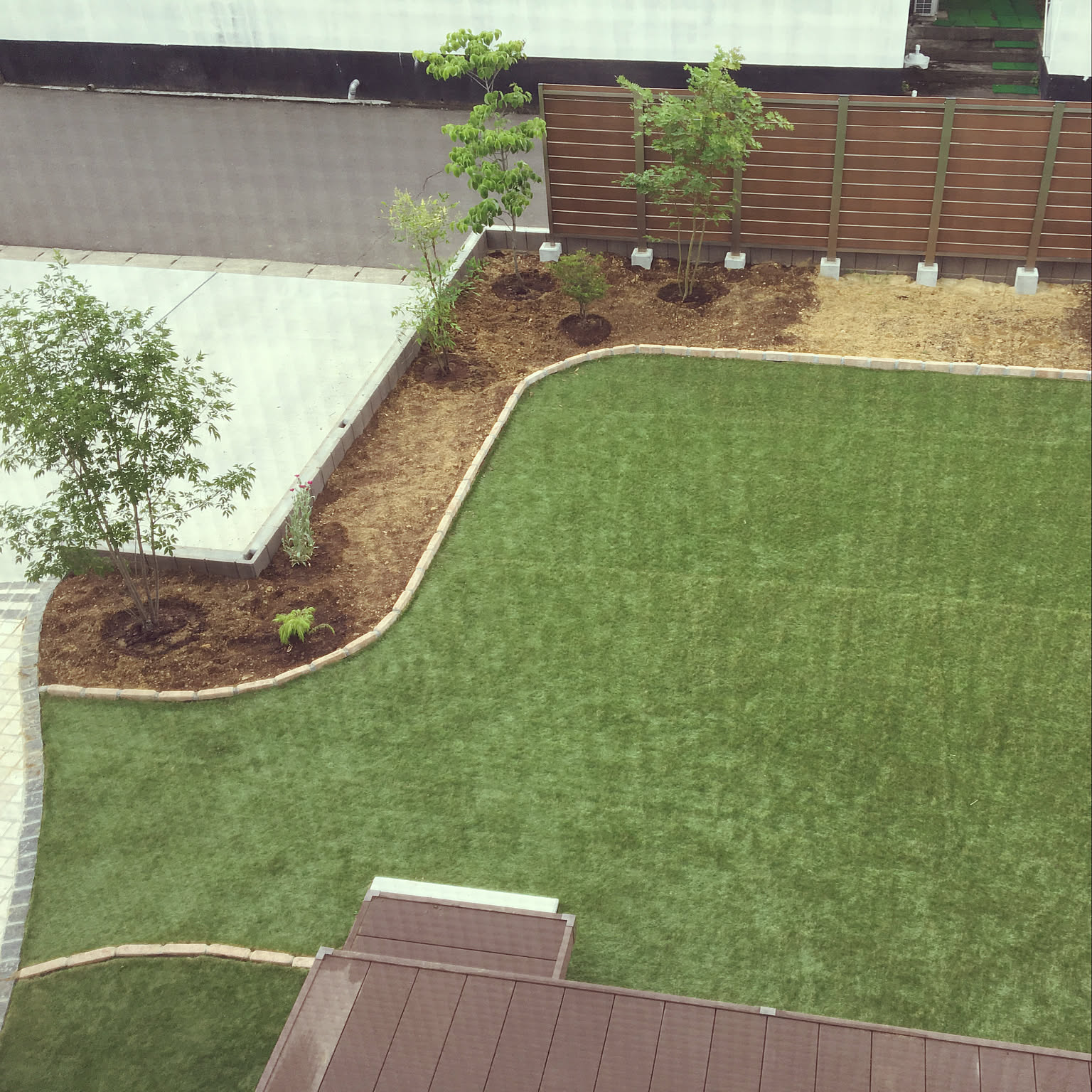 アオダモ コハウチワカエデのインテリア実例 ｜ RoomClip（ルーム