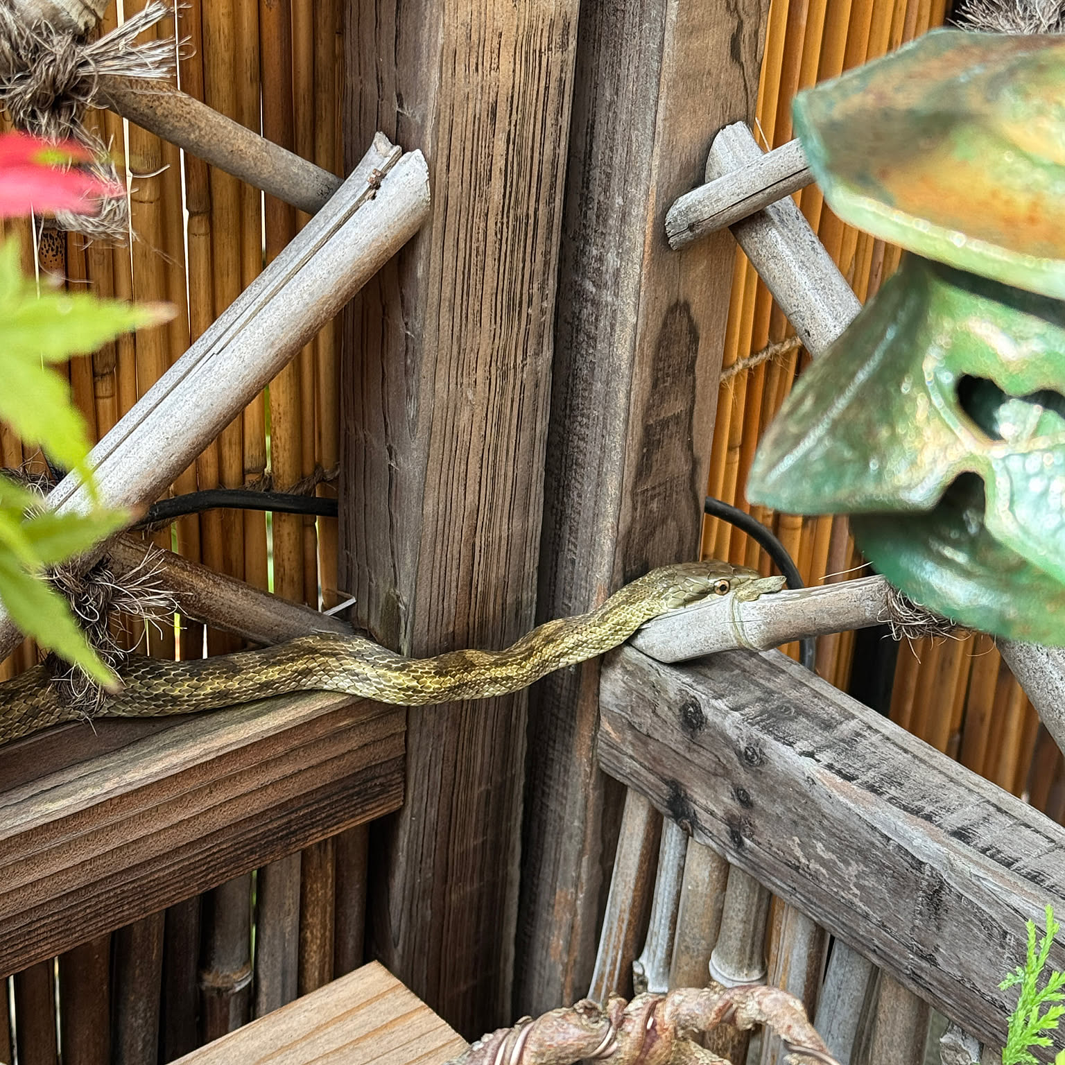 灯篭のインテリア実例 ｜ RoomClip（ルームクリップ）