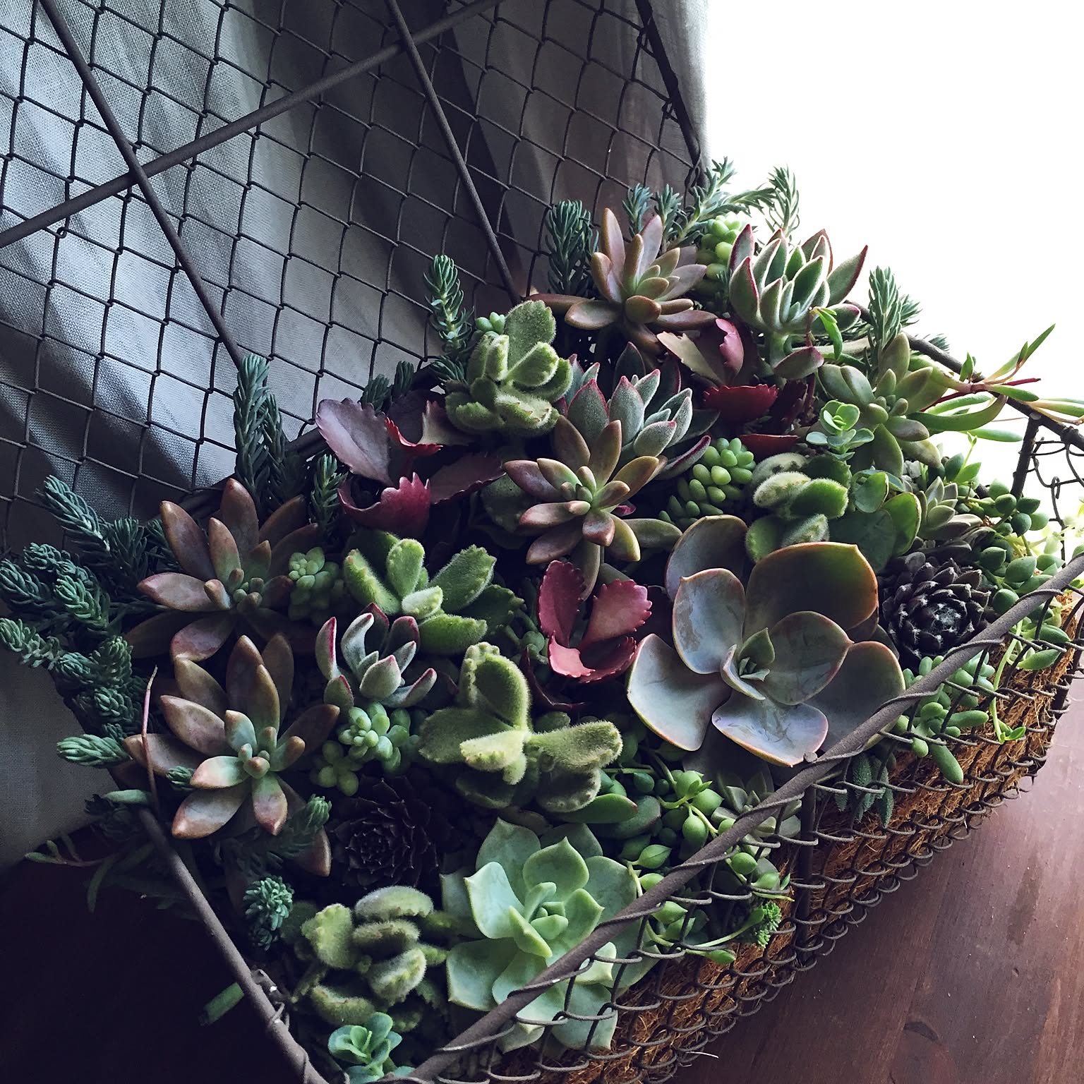 37a5d40ec1c2b33d36a18d5e95192b