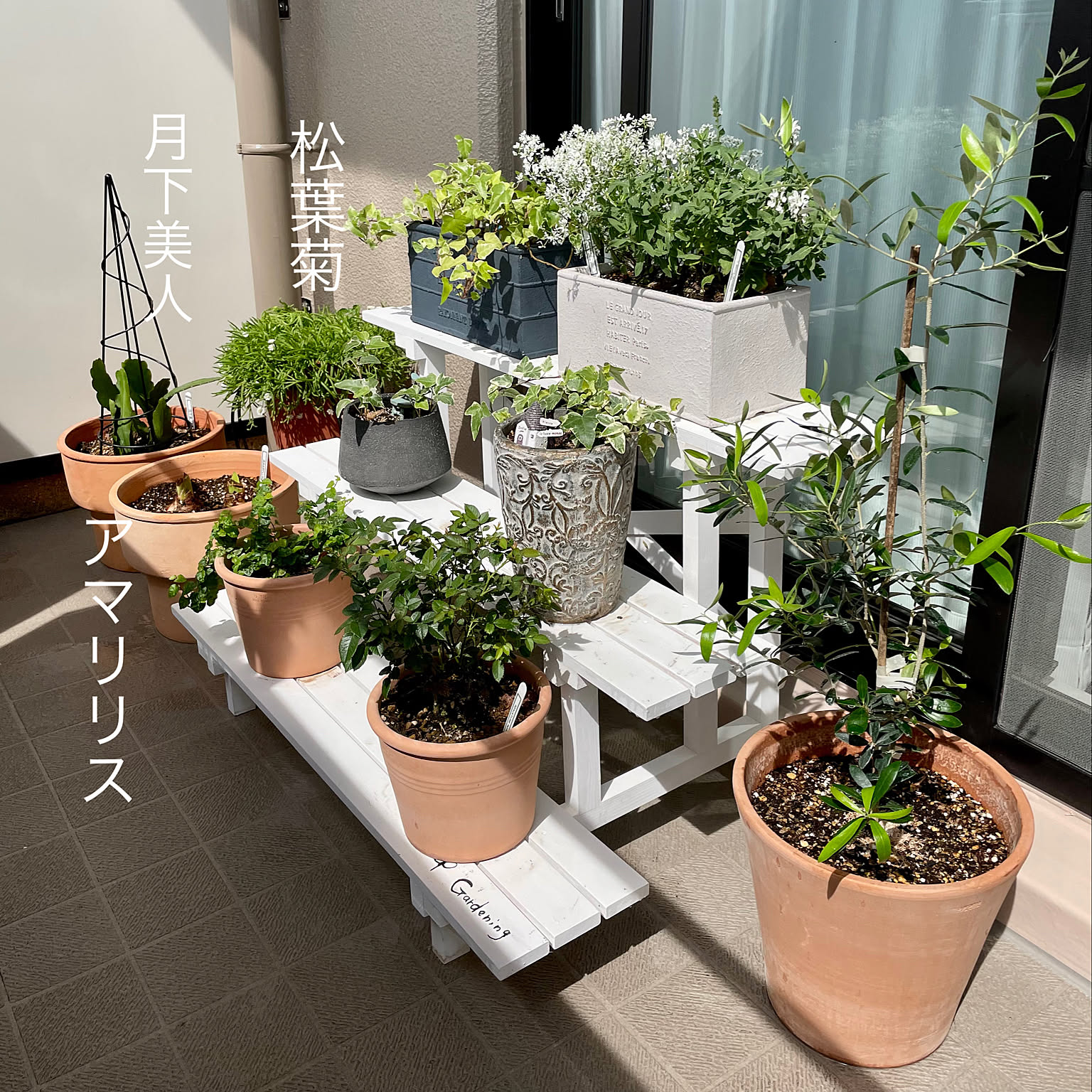 テラコッタ鉢 & アイアン フラワースタンド フラワースタンド アイアン 花台 鉢台 ホワイト アンティーク