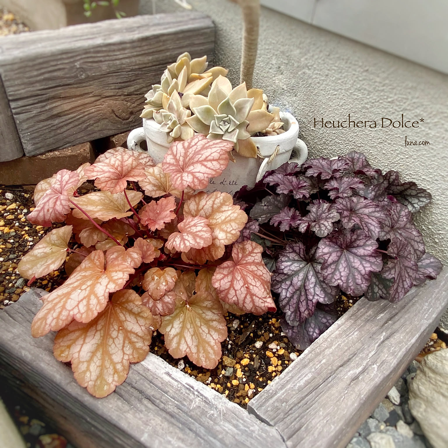 37d166c4cdfd1328ddee21c73347a1