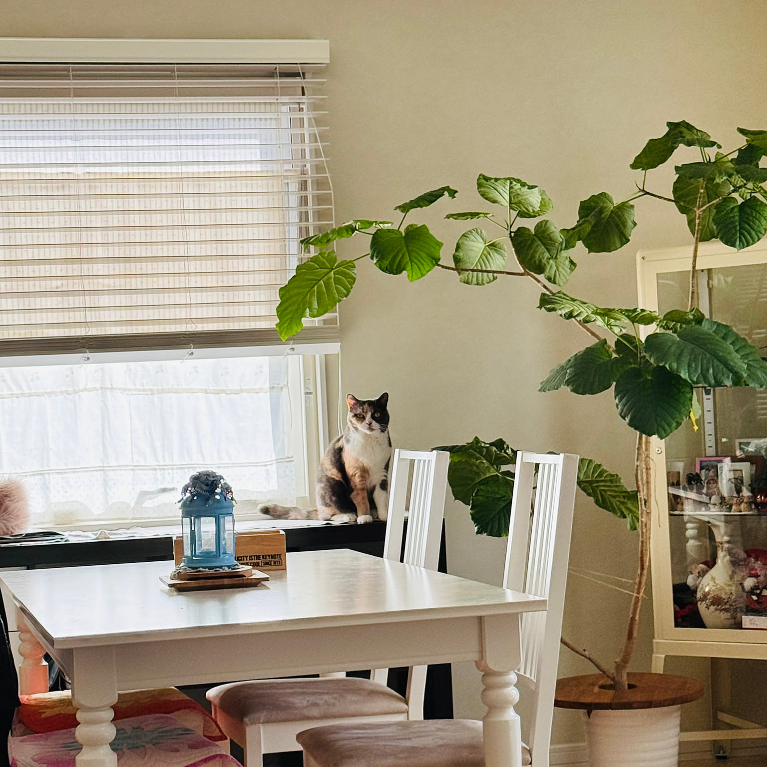 IKEA INGATORPのおすすめ商品とおしゃれな実例 ｜ RoomClip（ルーム