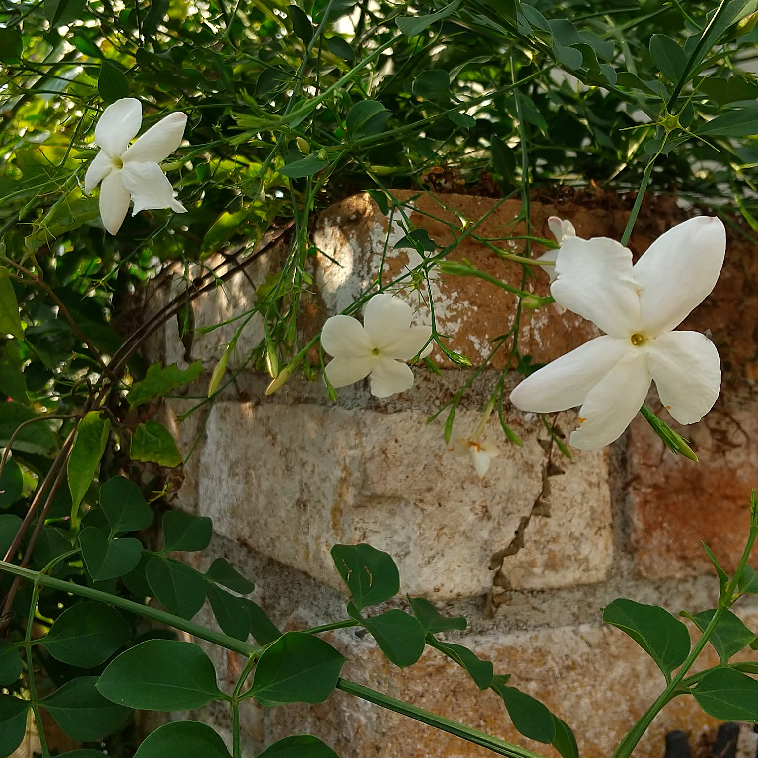 3a9184623a0b2ae39c62dc747b97f1