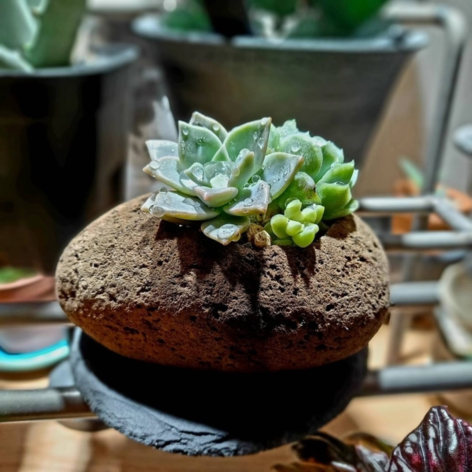 3b4bf0c0fa99af026193aea6db71ca