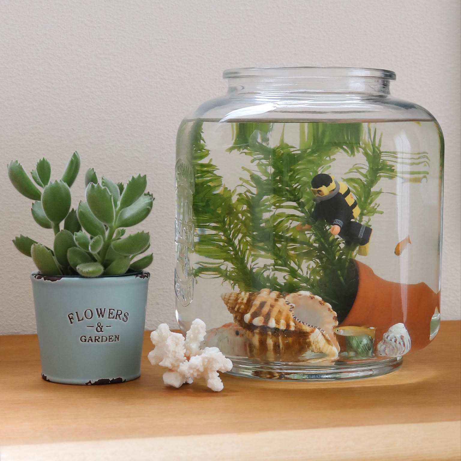 水槽 貝殻のおしゃれなアレンジ・飾り方のインテリア実例 ｜ RoomClip