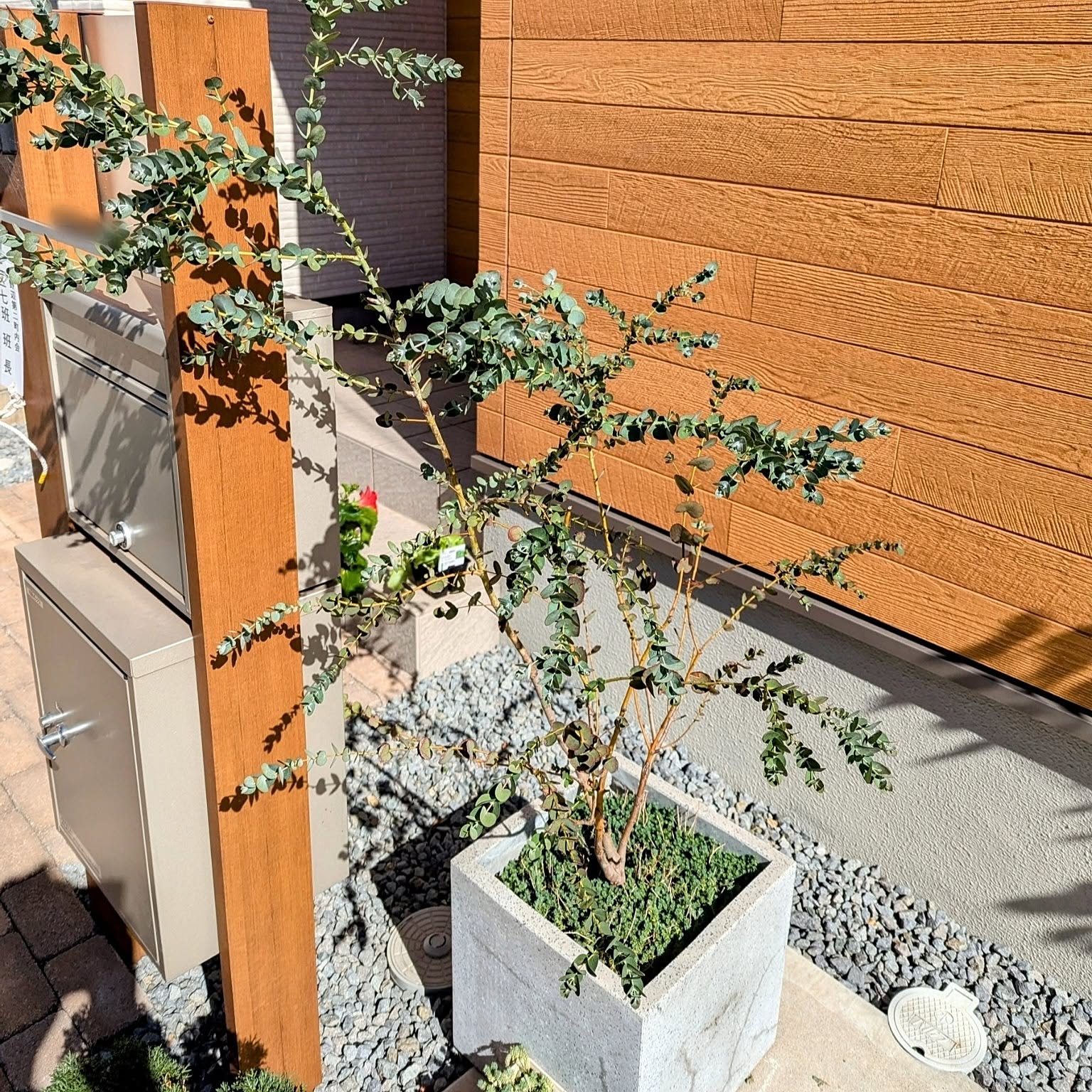 ハイビスカスのある暮らしのインテリア実例 ｜ RoomClip（ルーム