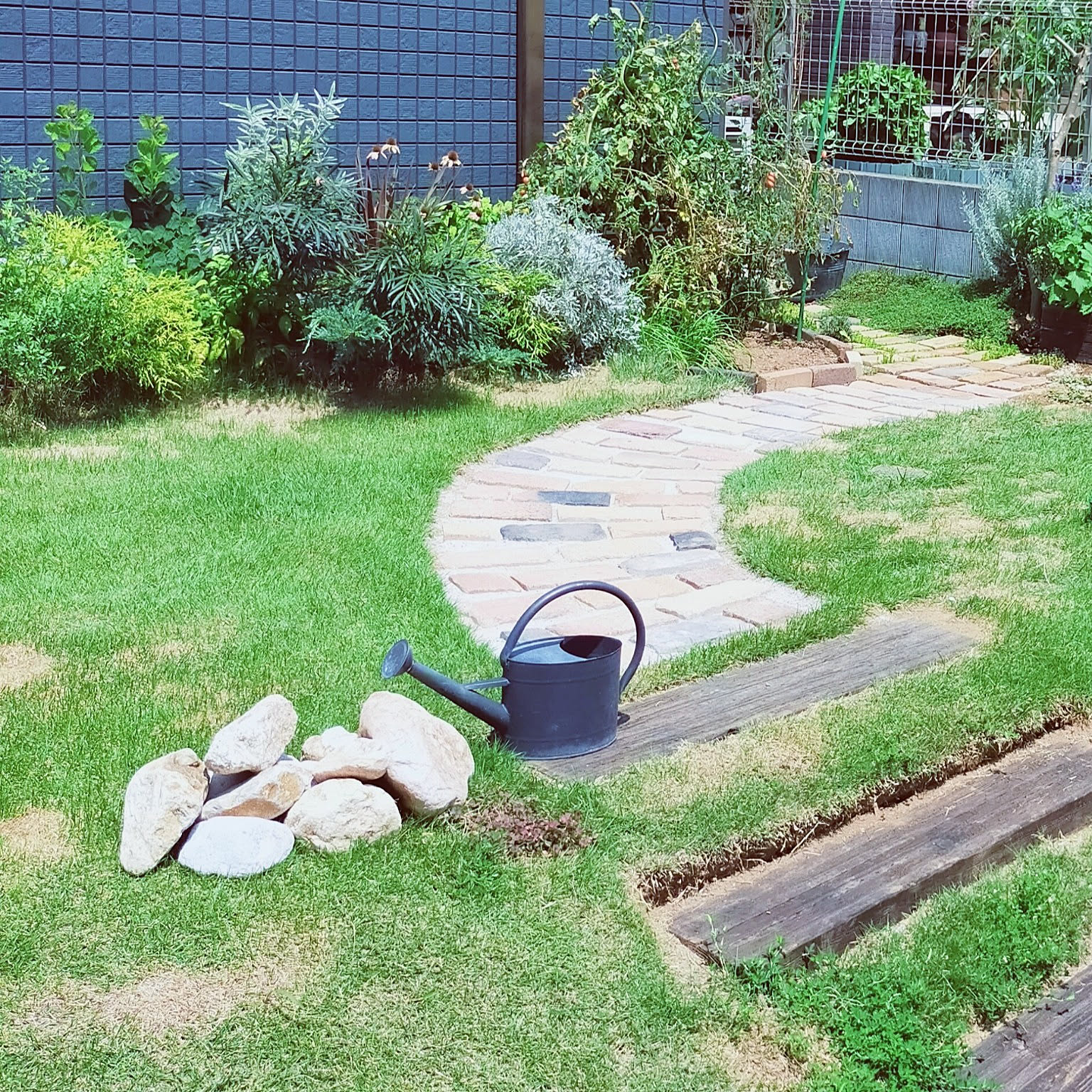 イセキ CZ238H 芝刈り機 未使用品 刃/他付属品付き ガソリン式【ハンズ