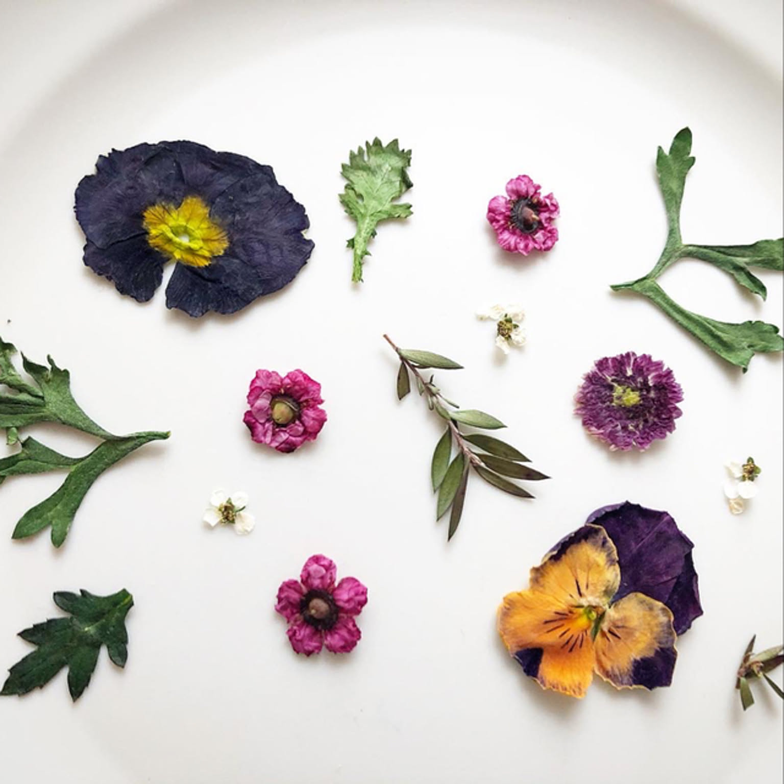 押し花アート/押し花フレーム/ドライフラワー手作り/北欧/お花のある