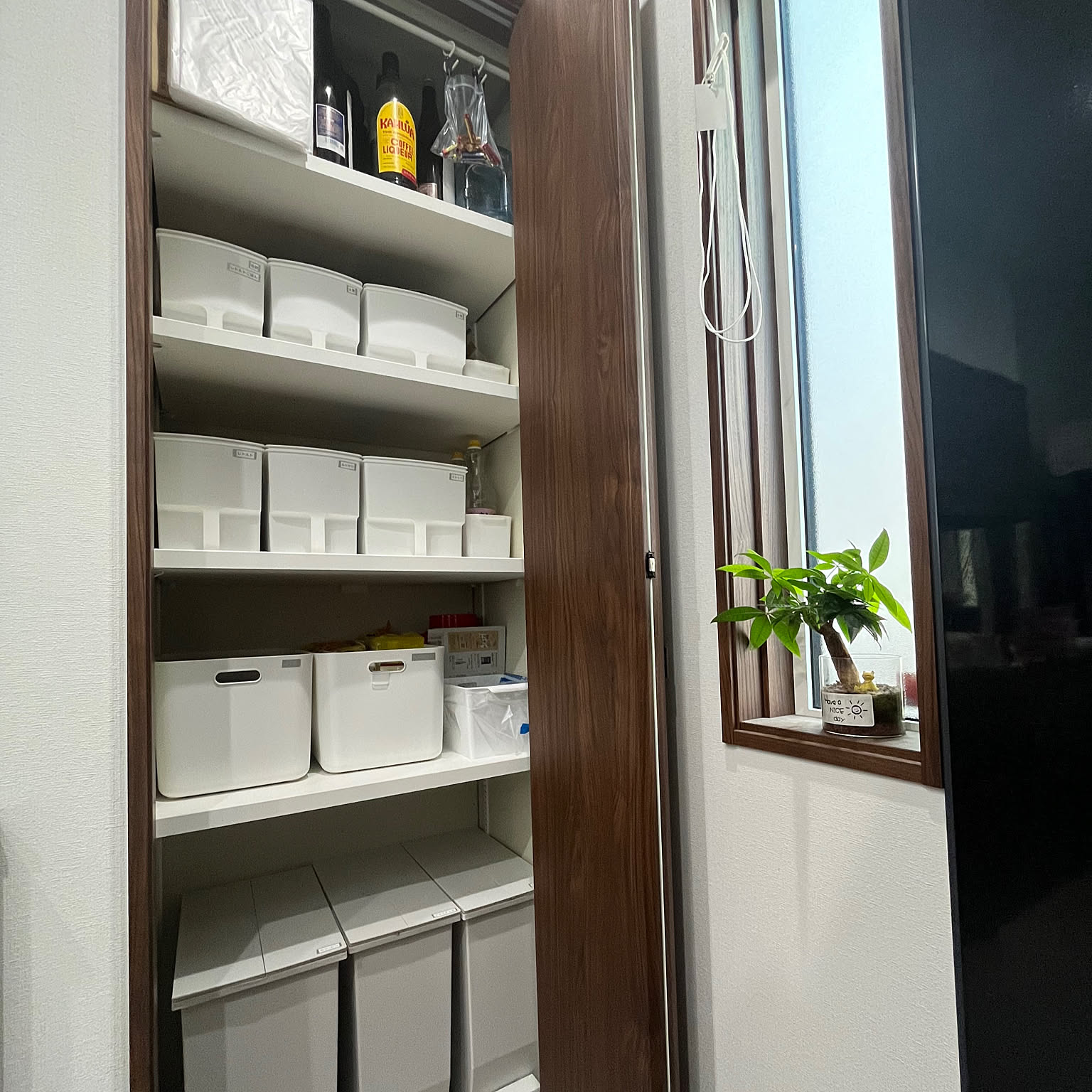 【一条工務店】可動式 ブックシェフ 一条工務店】可動式 ブックシェフ