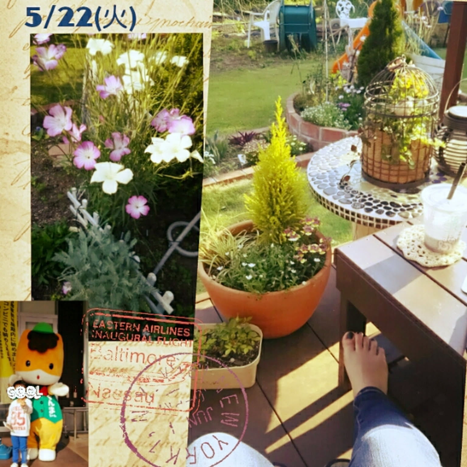 ゲド戦記 置物 インテリア ゲド戦記のインテリア実例 ｜ RoomClip（ルームクリップ）