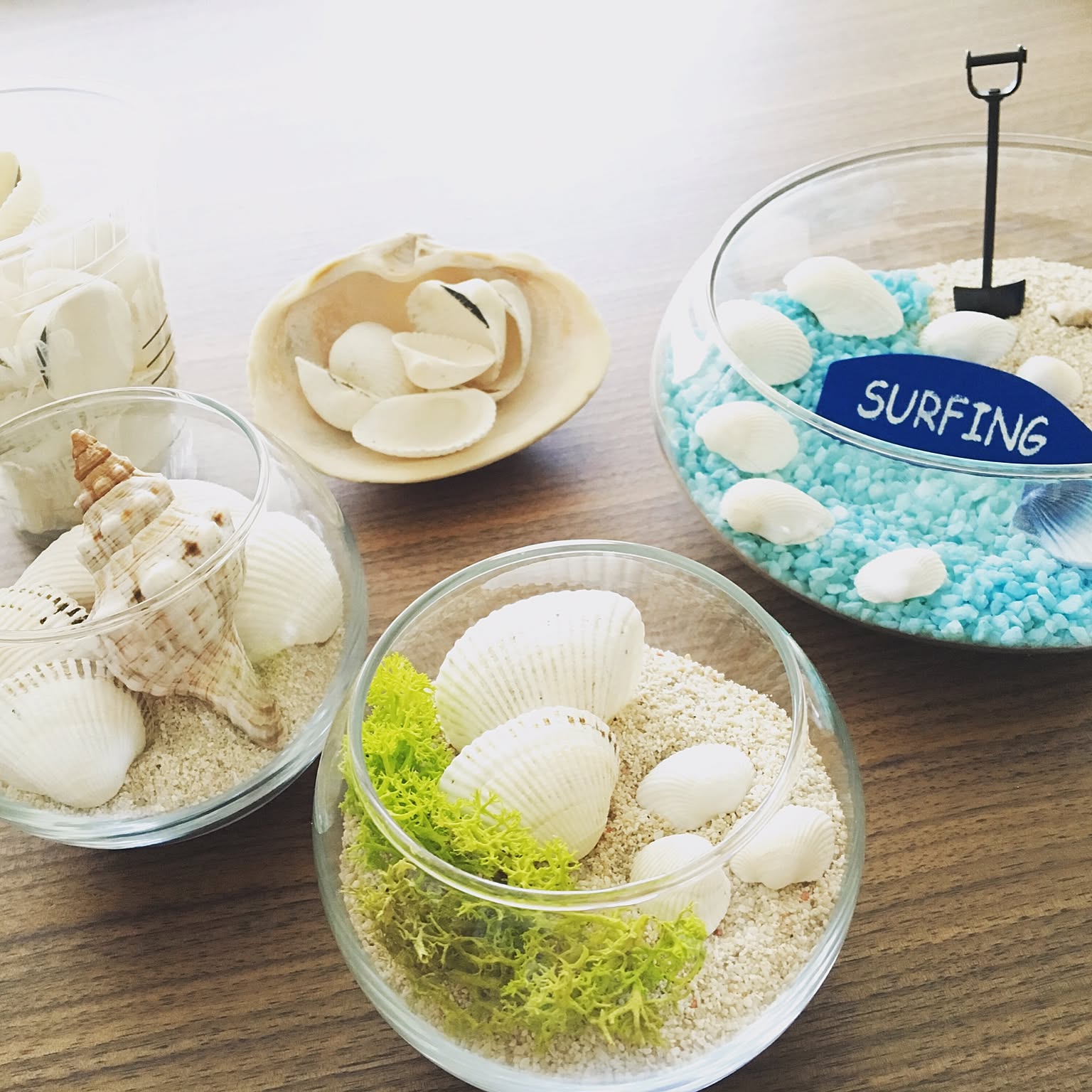 4153956fc14508422bcb5f47dbaf31