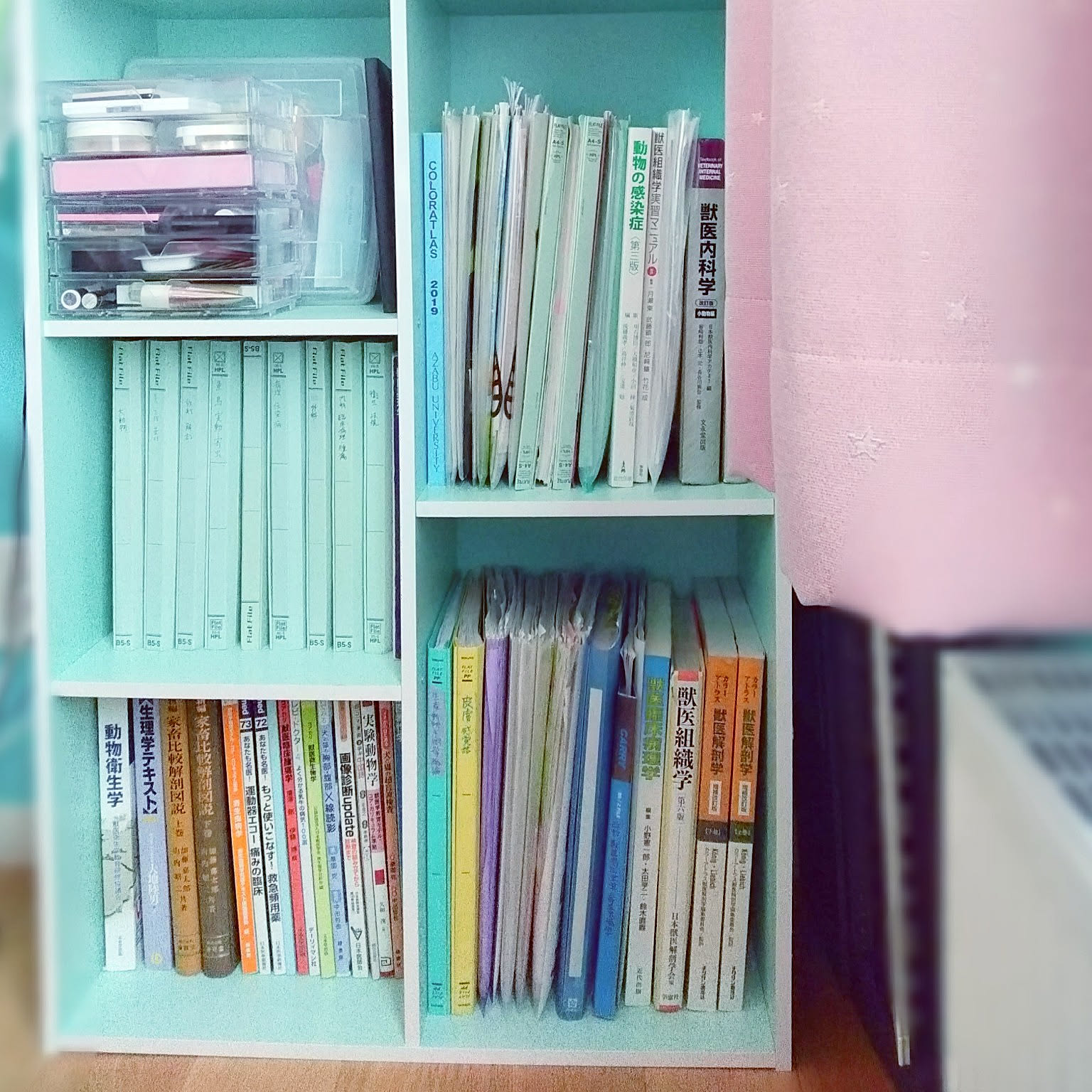 カワムラ家具　学習本棚　教科書入れ カワムラ家具学習本棚教科書入れ