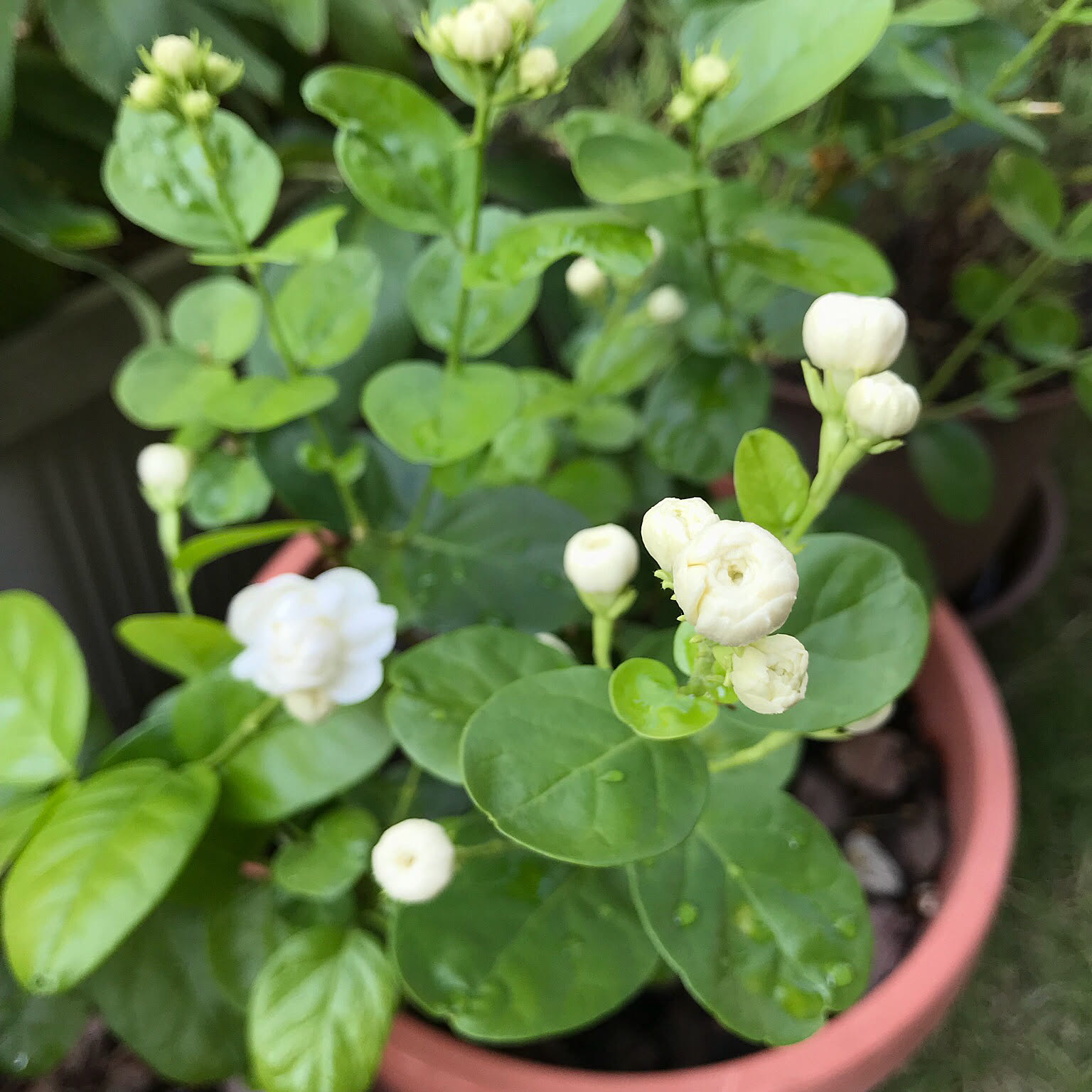 419a075f7c9892088adbd113df891e